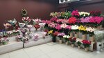 Mirka Flowers (Средний просп. Васильевского острова, 70, Санкт-Петербург), магазин цветов в Санкт‑Петербурге