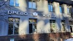 Tree of Life (Sredniy Vasilyevskogo Ostrova Avenue, 85) ، منتجعات
