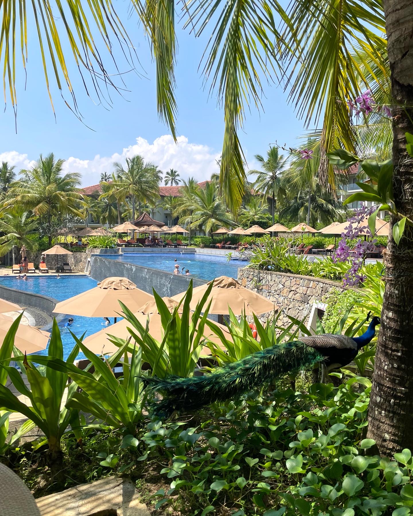 Фото Anantara Peace Haven Tangalle Resort