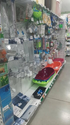 Home goods store Supermarket Doma, Valuyki, photo