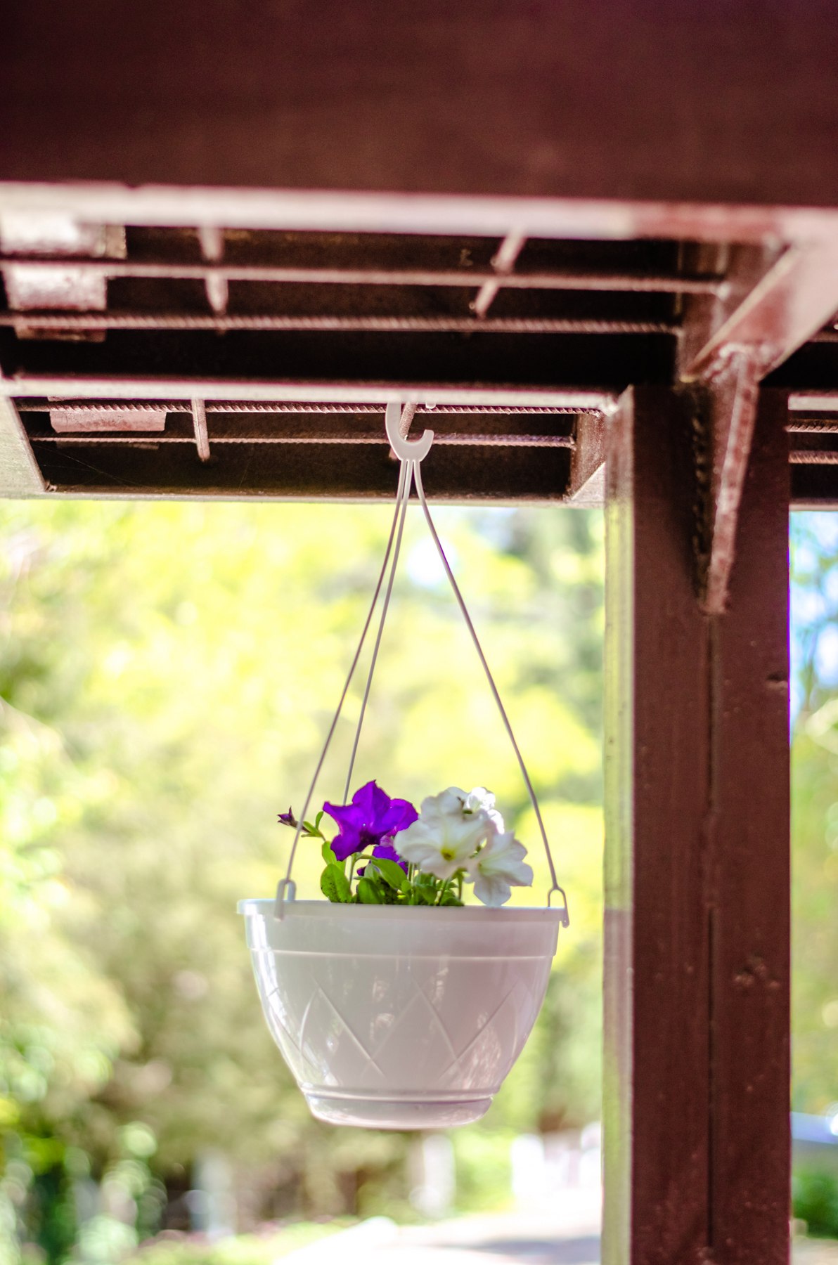 Фото Сан-Сити