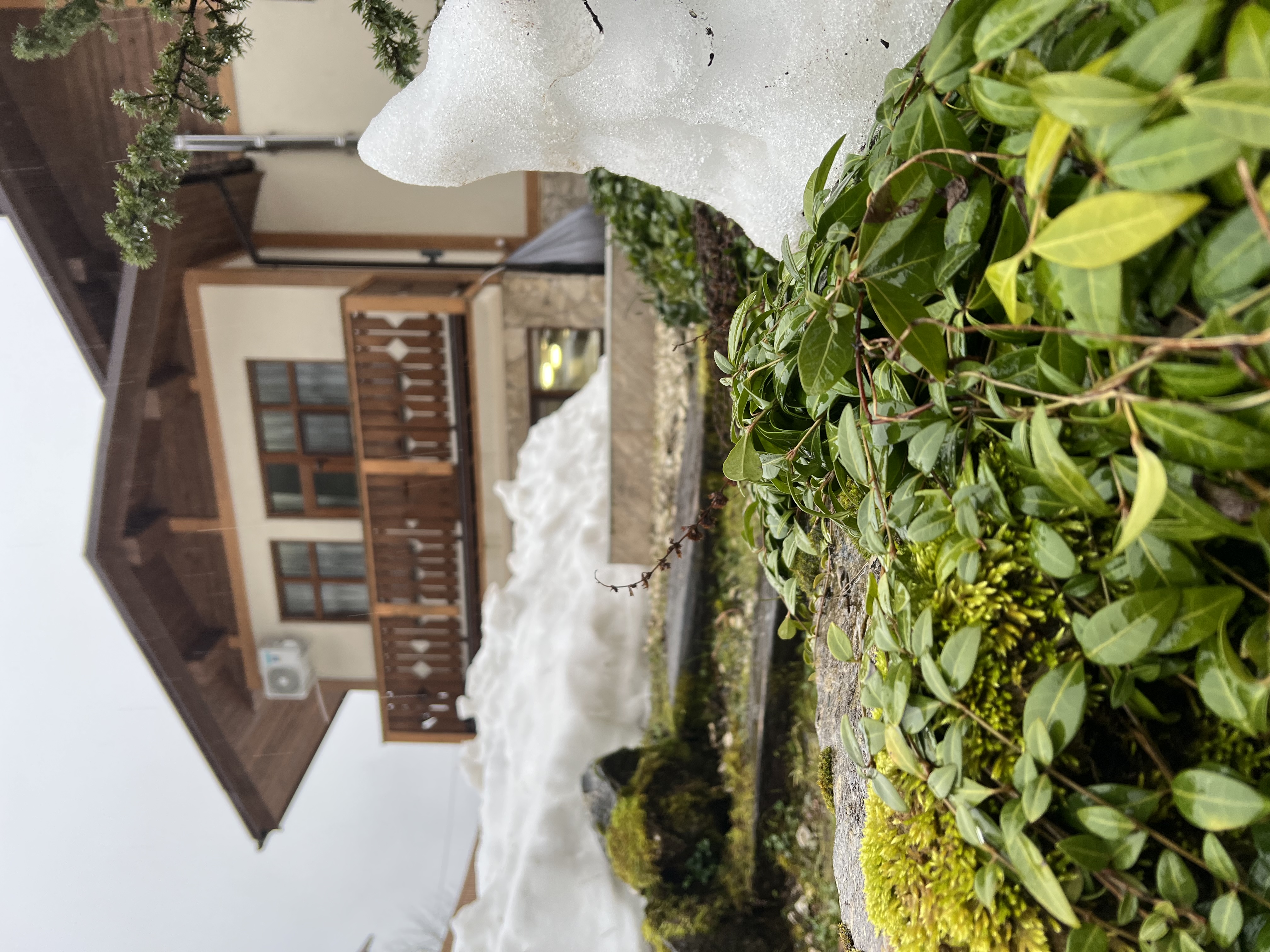 Фото Добрый Дом