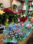 Магазин цветов (Pryvakzaĺnaja plošča, 5), flower shop