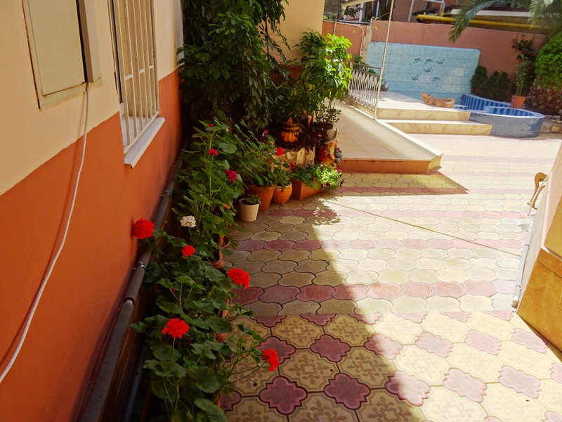 Фото Черномор