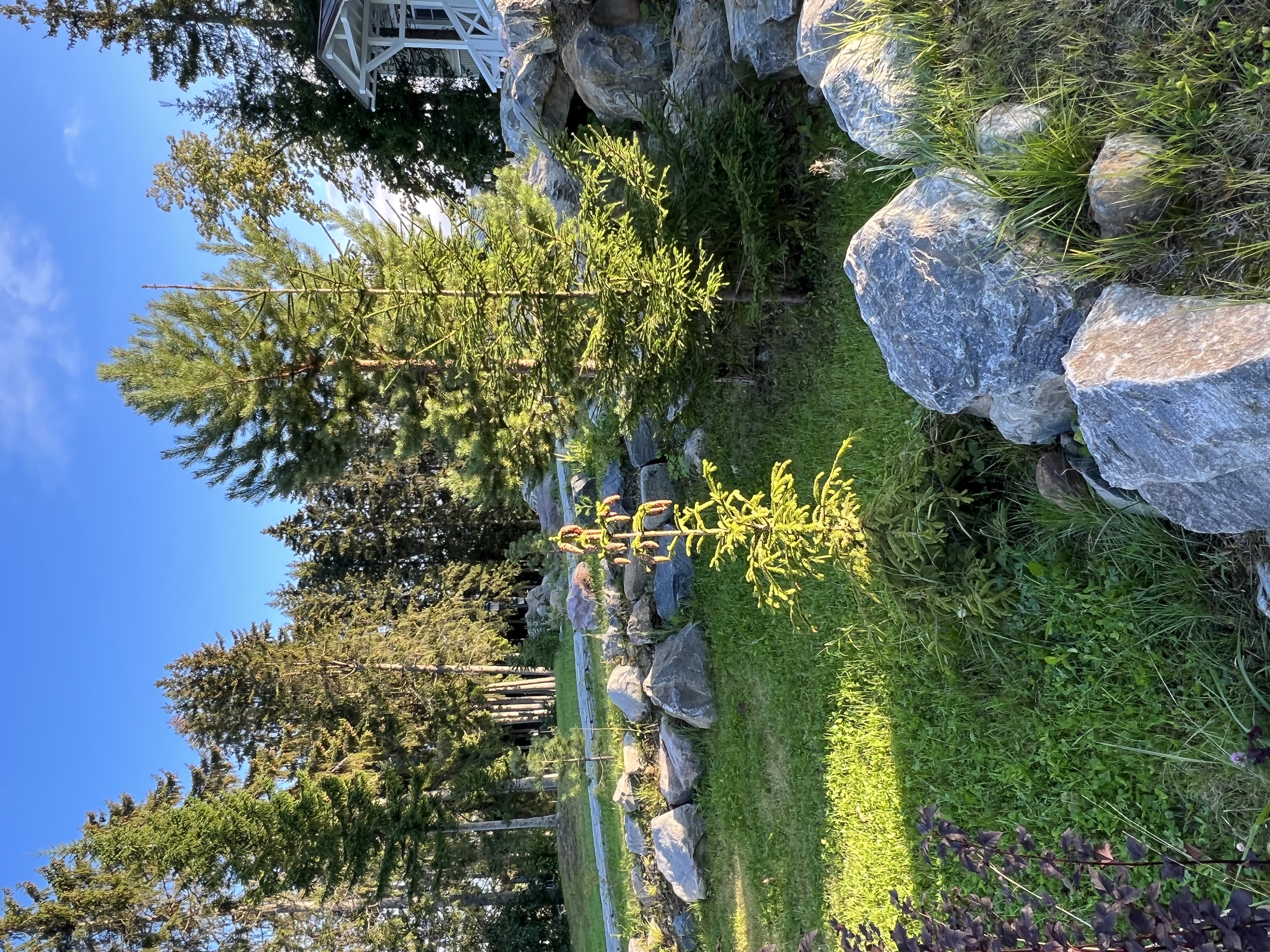 Фото Кружево