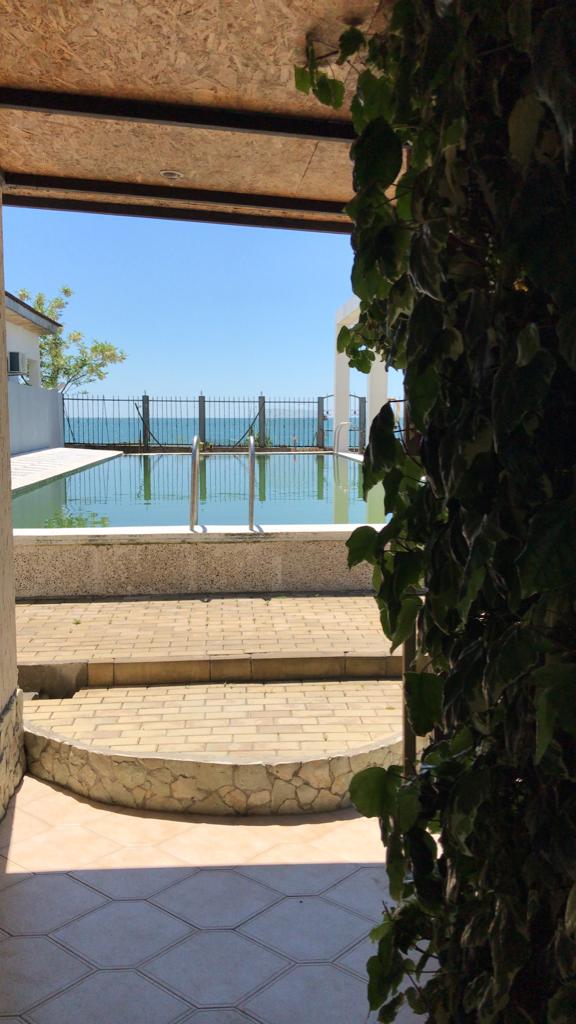 Фото Стефания