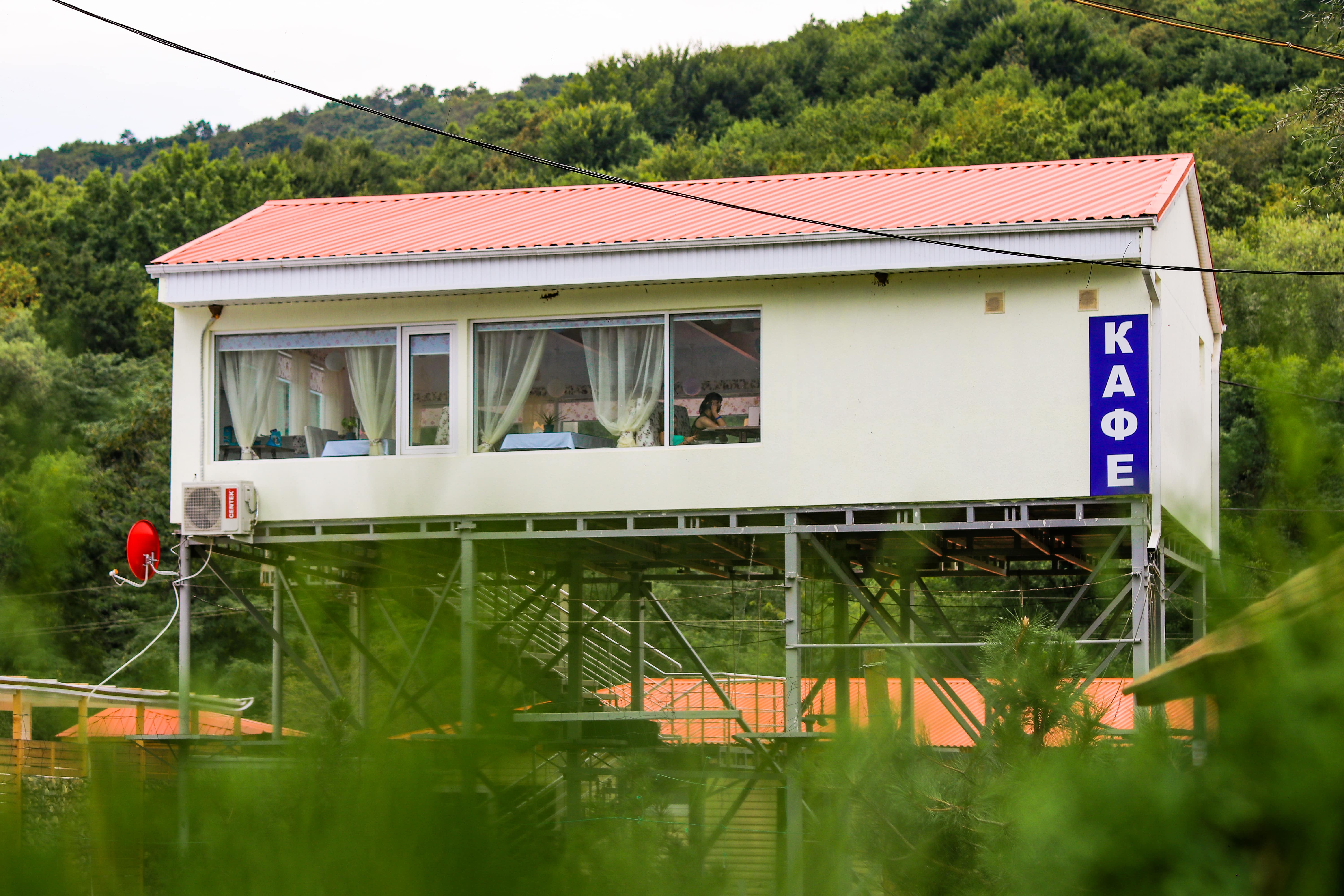 Фото Светлячок