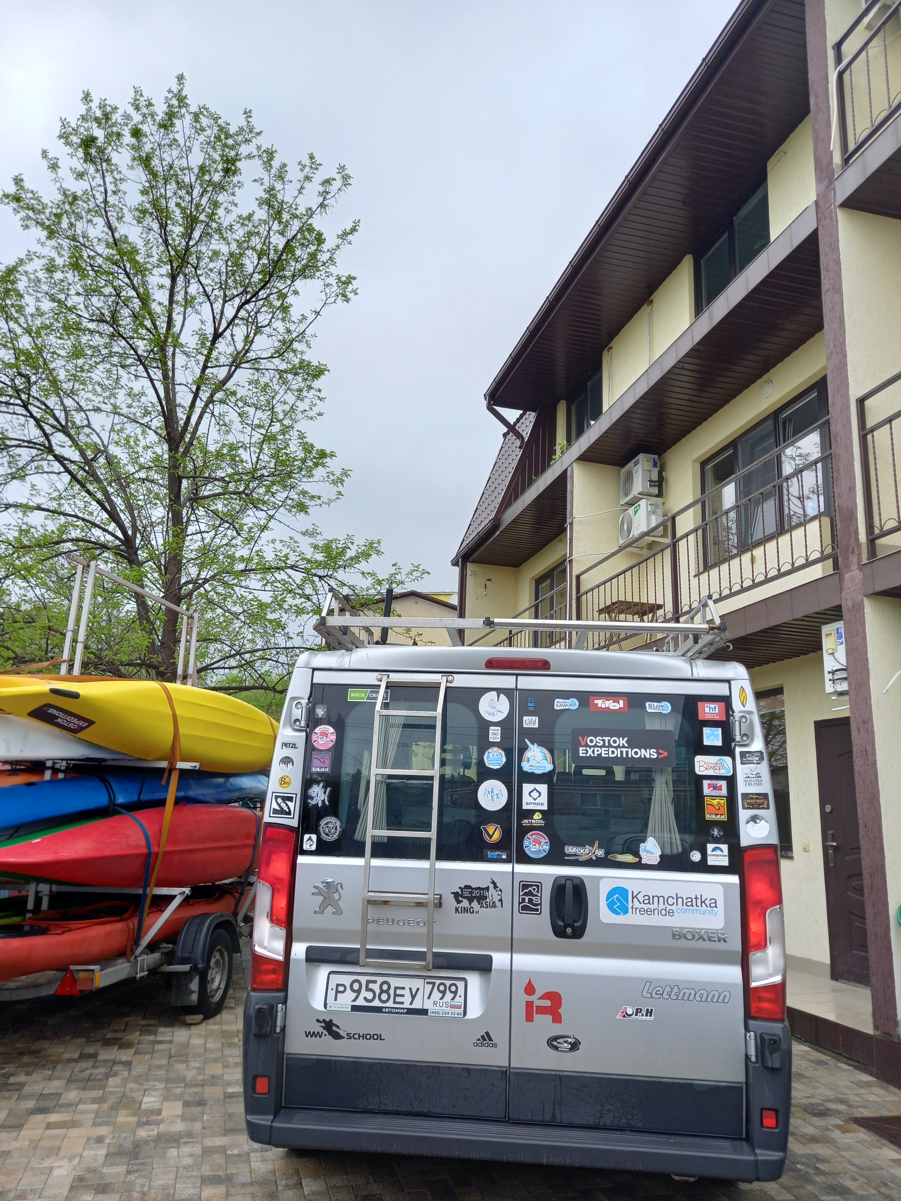 Фото Колибри