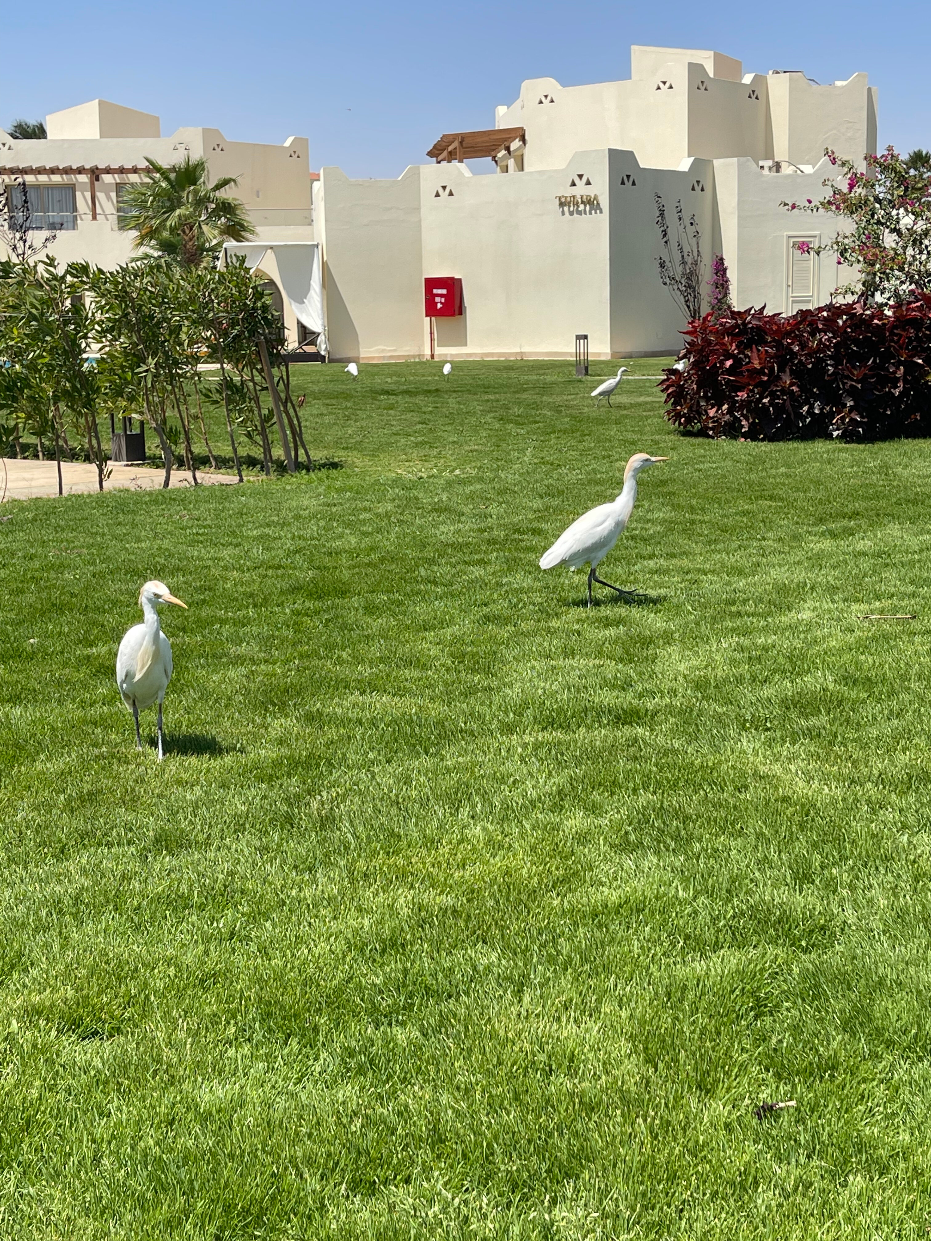 Фото 43410495811