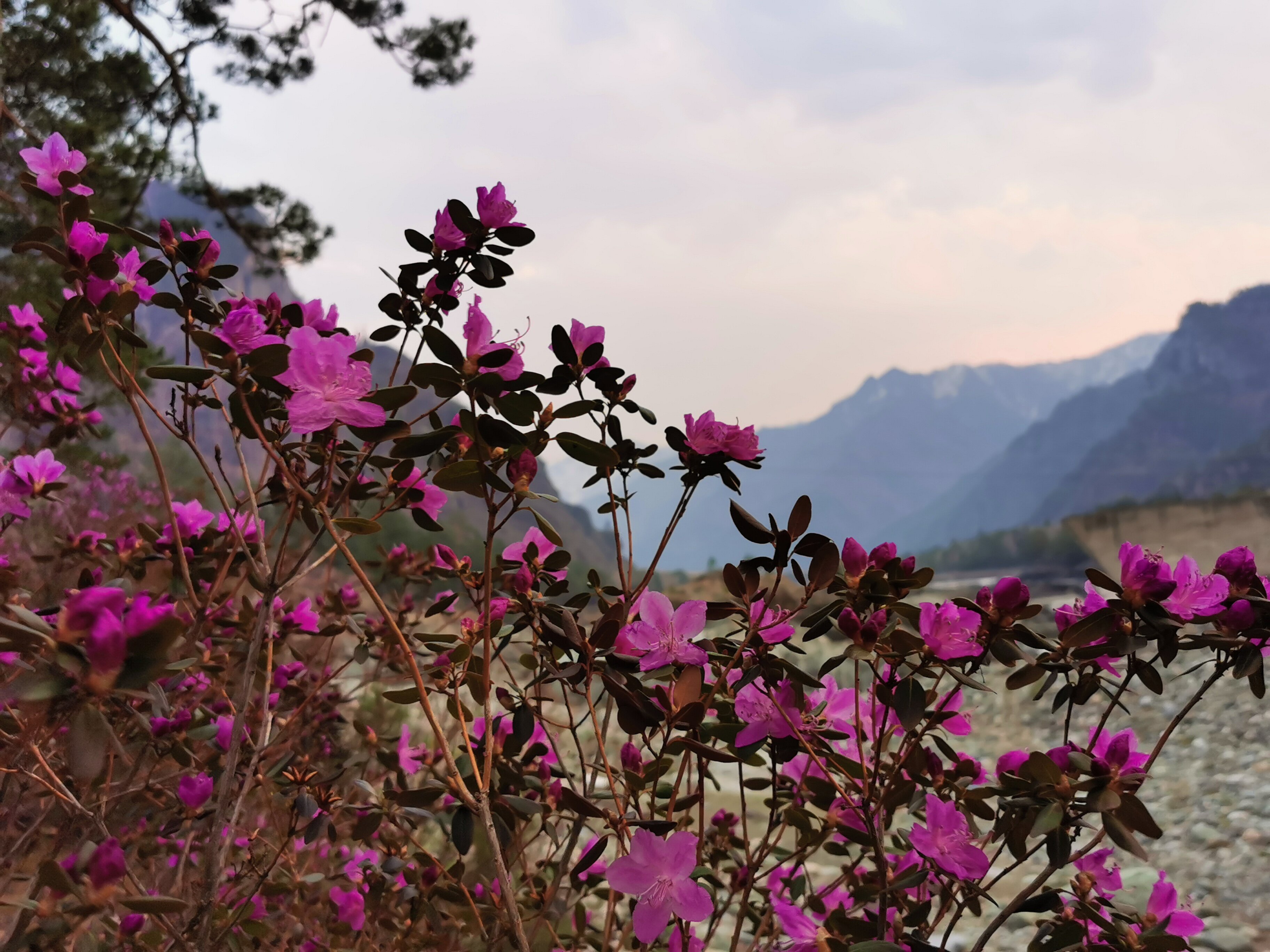 Фото Деревушка