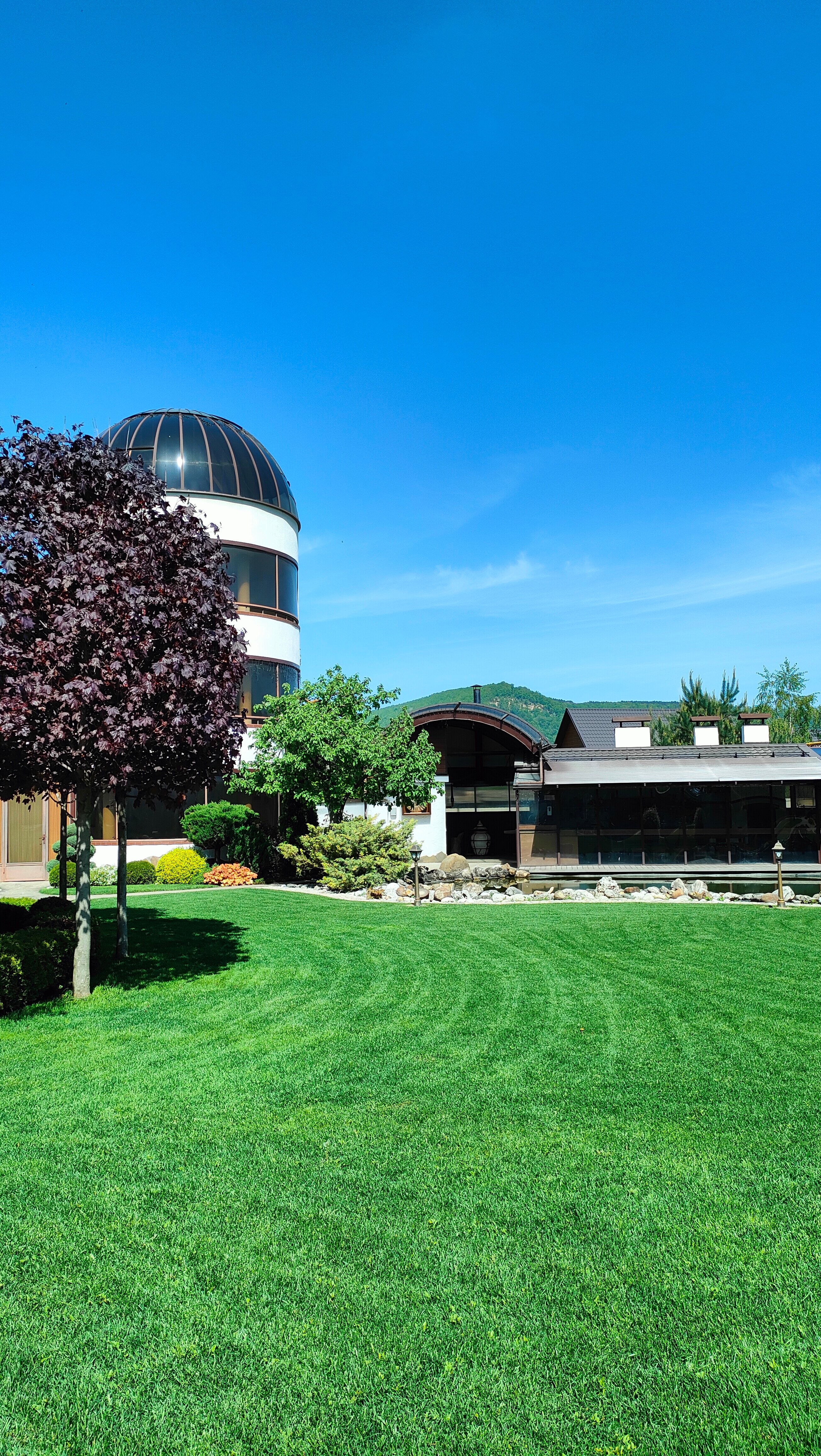 Фото Светлый