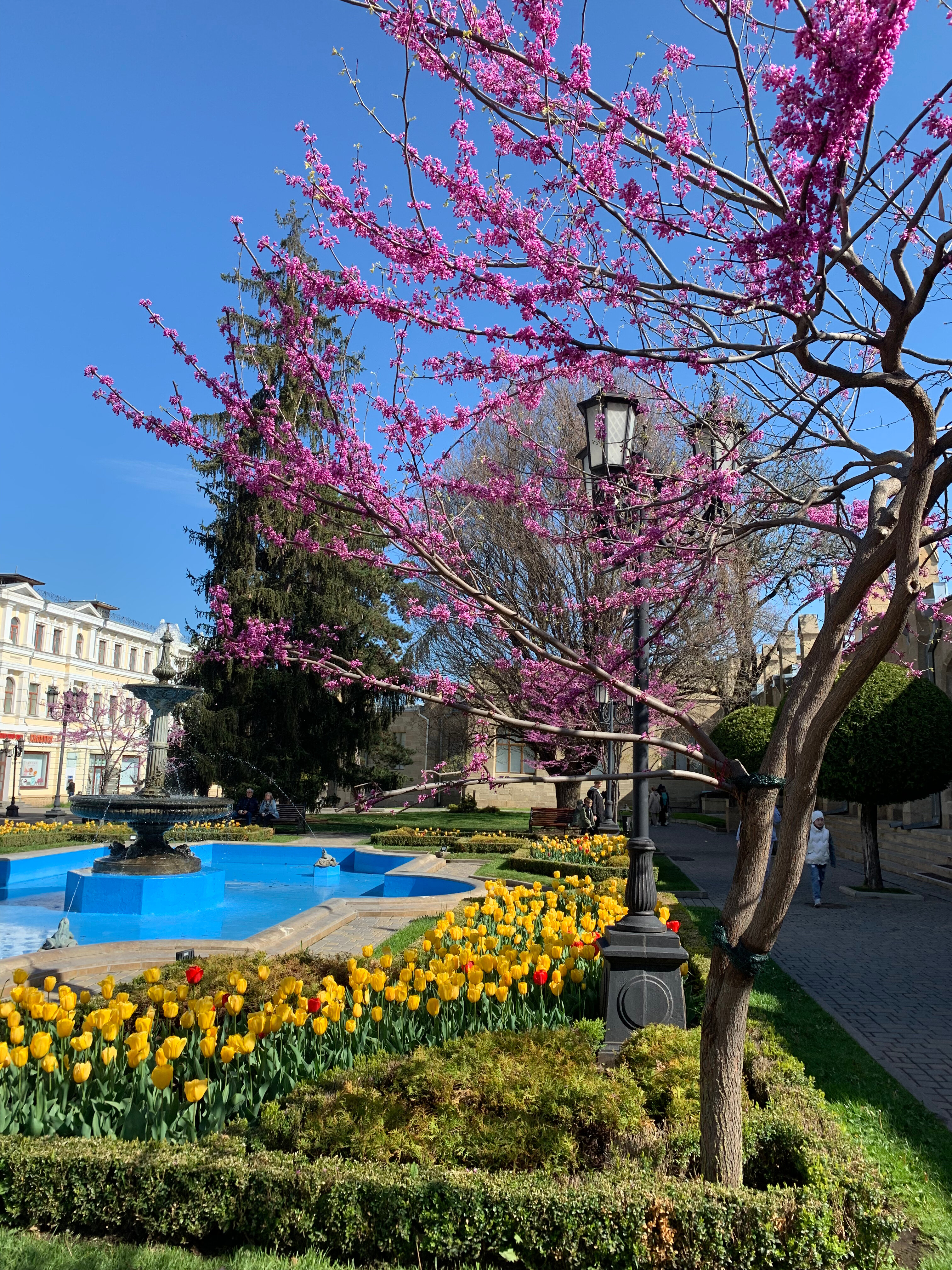 Фото Элорма