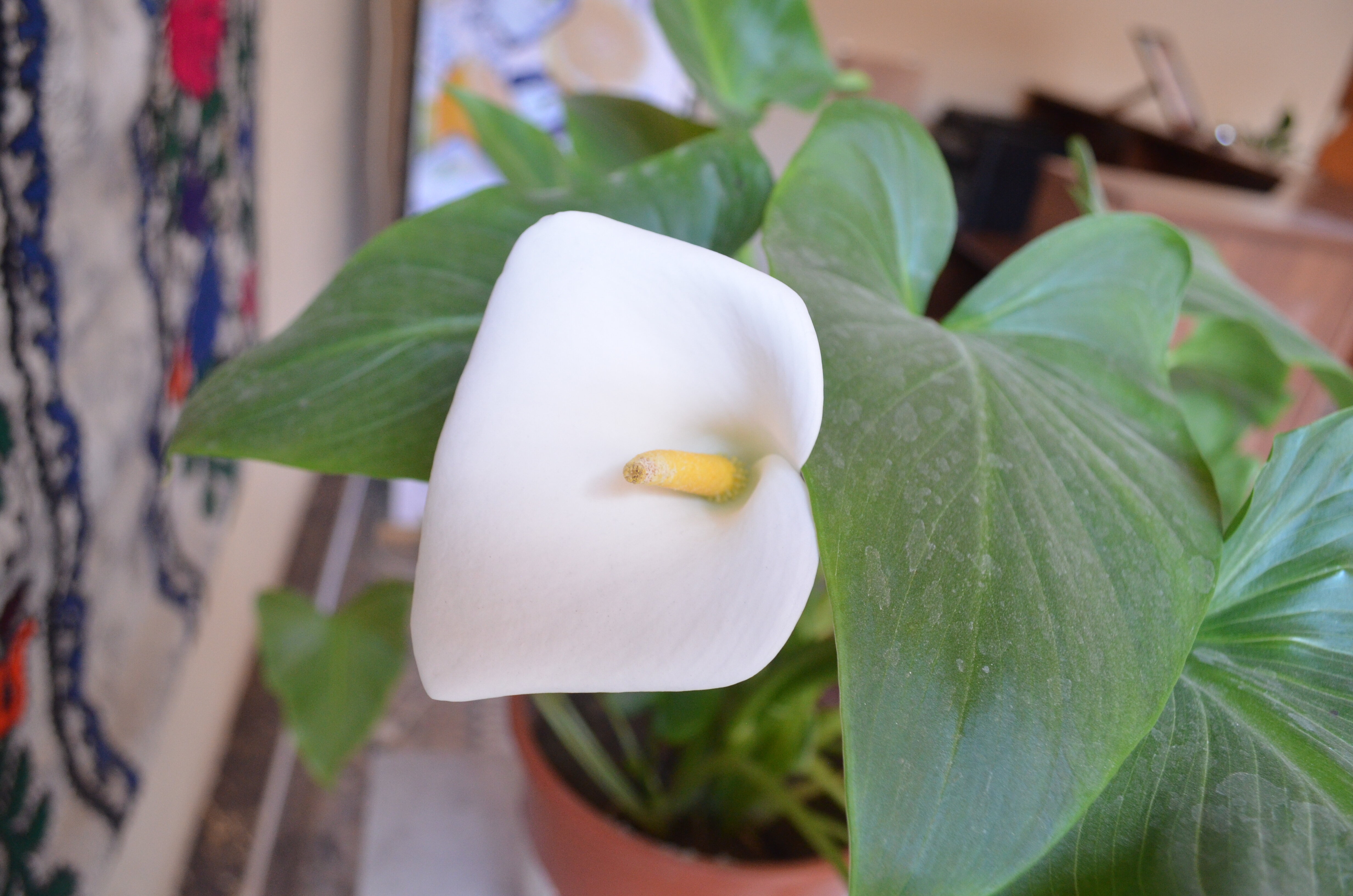 Фото Отель Retro Registan