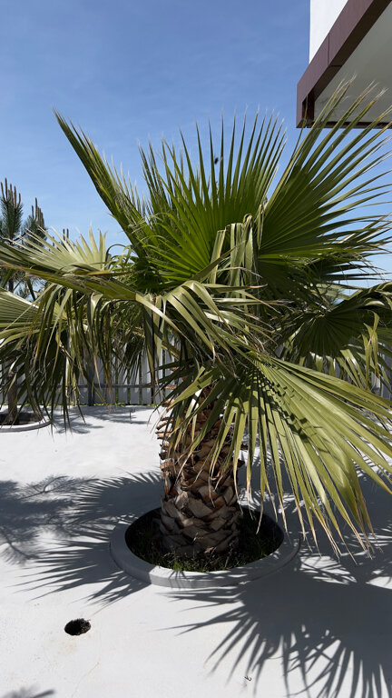 Фото Гиде Вилла