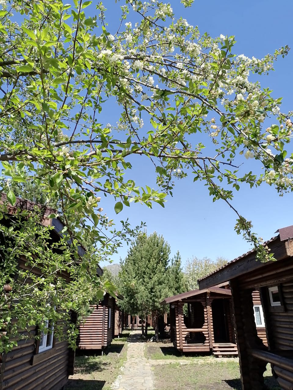 Фото Эко Усадьба Рублёвский перевал