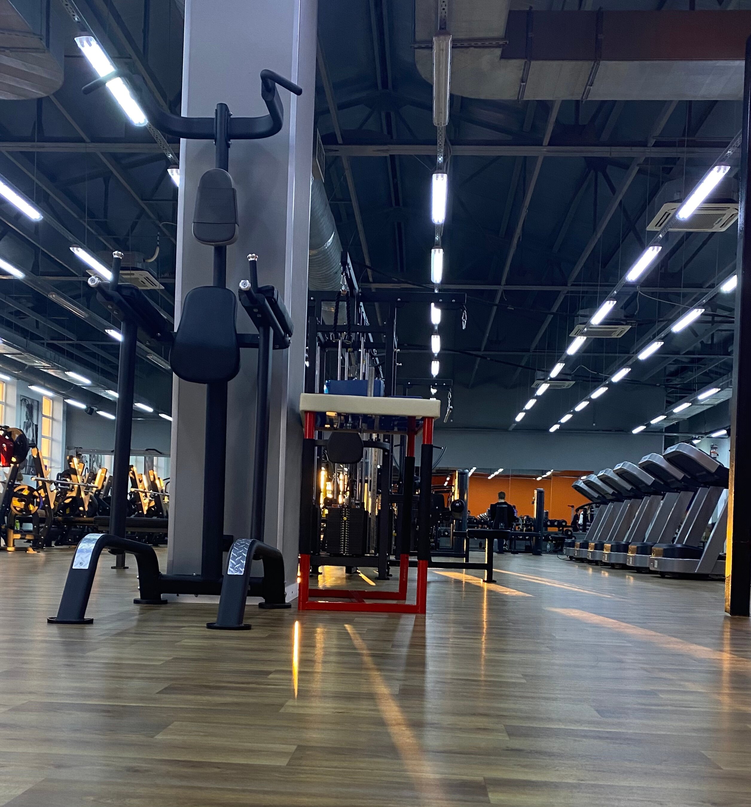 Flex Gym штаны
