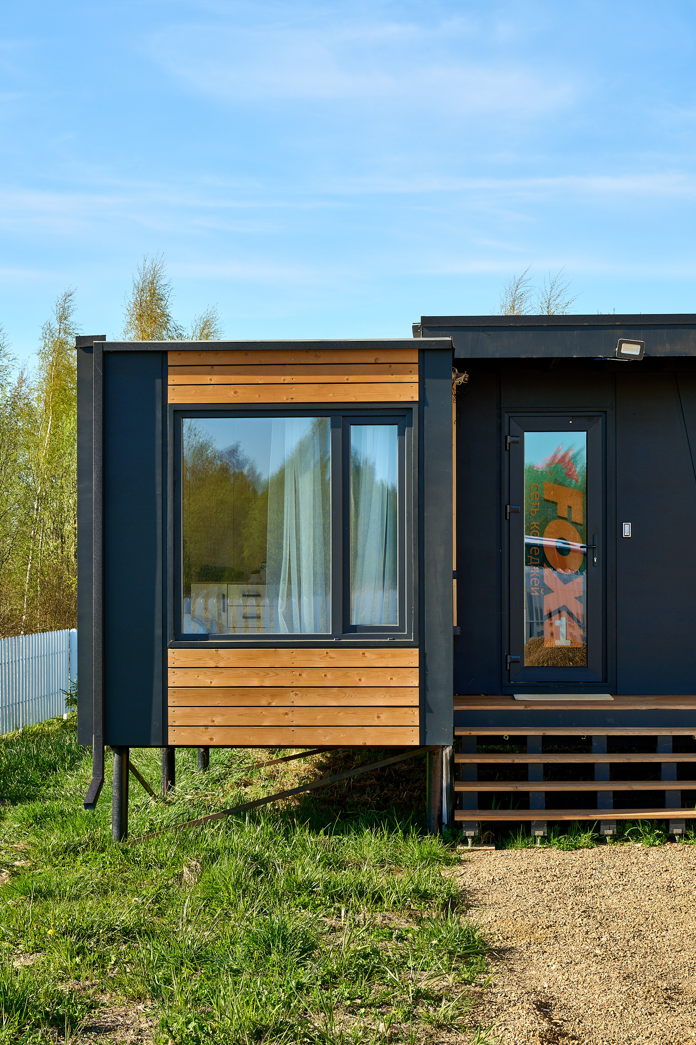 Фото Зеленый лес