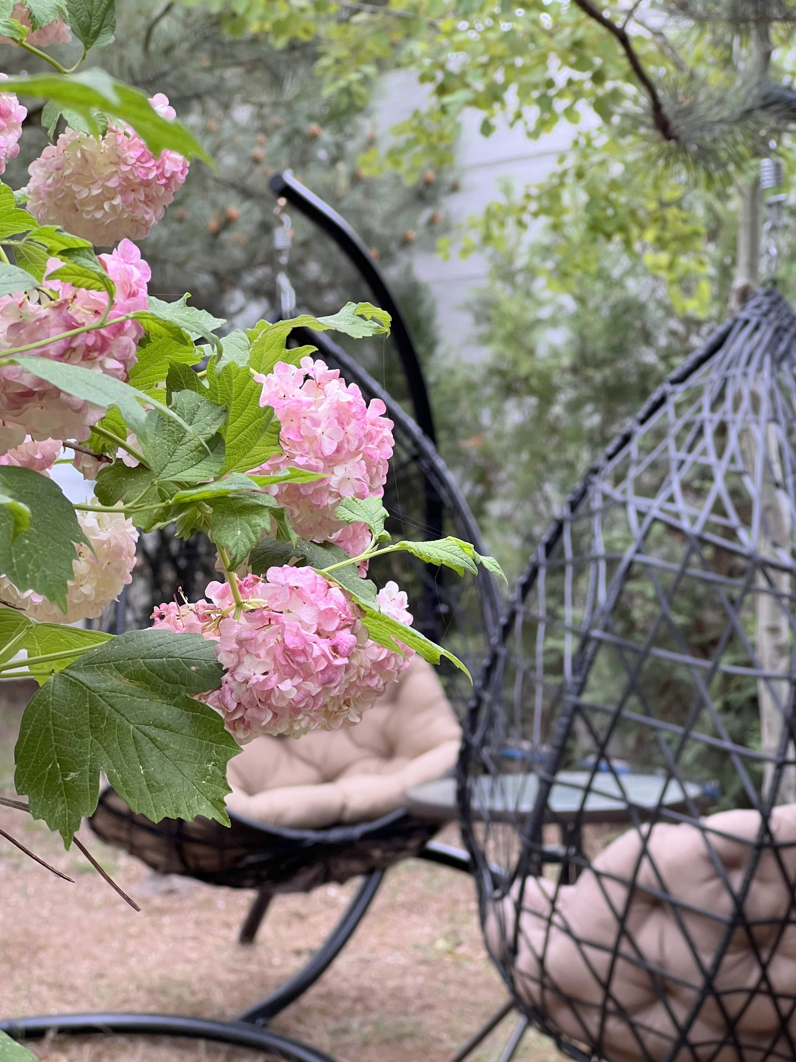 Фото Эльмарин