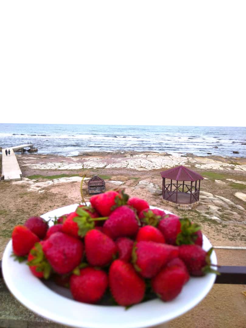 Фото Ассорти