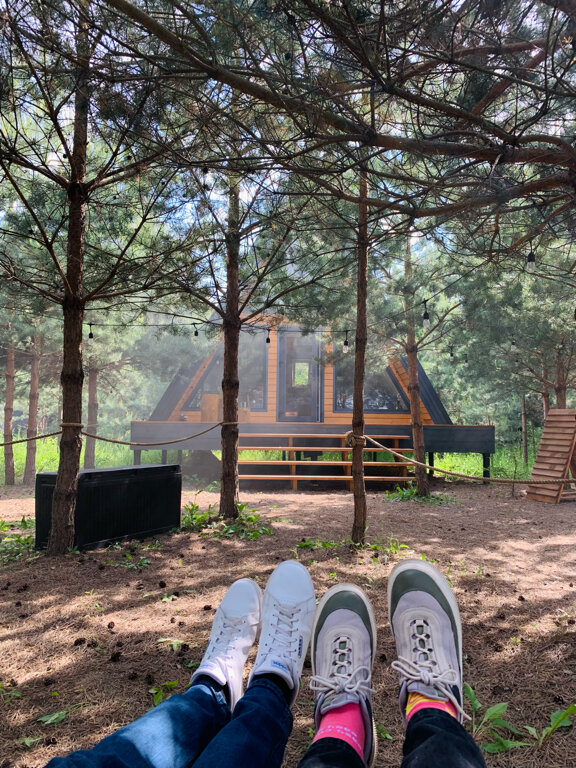 Фото Кусочек рая в соснах