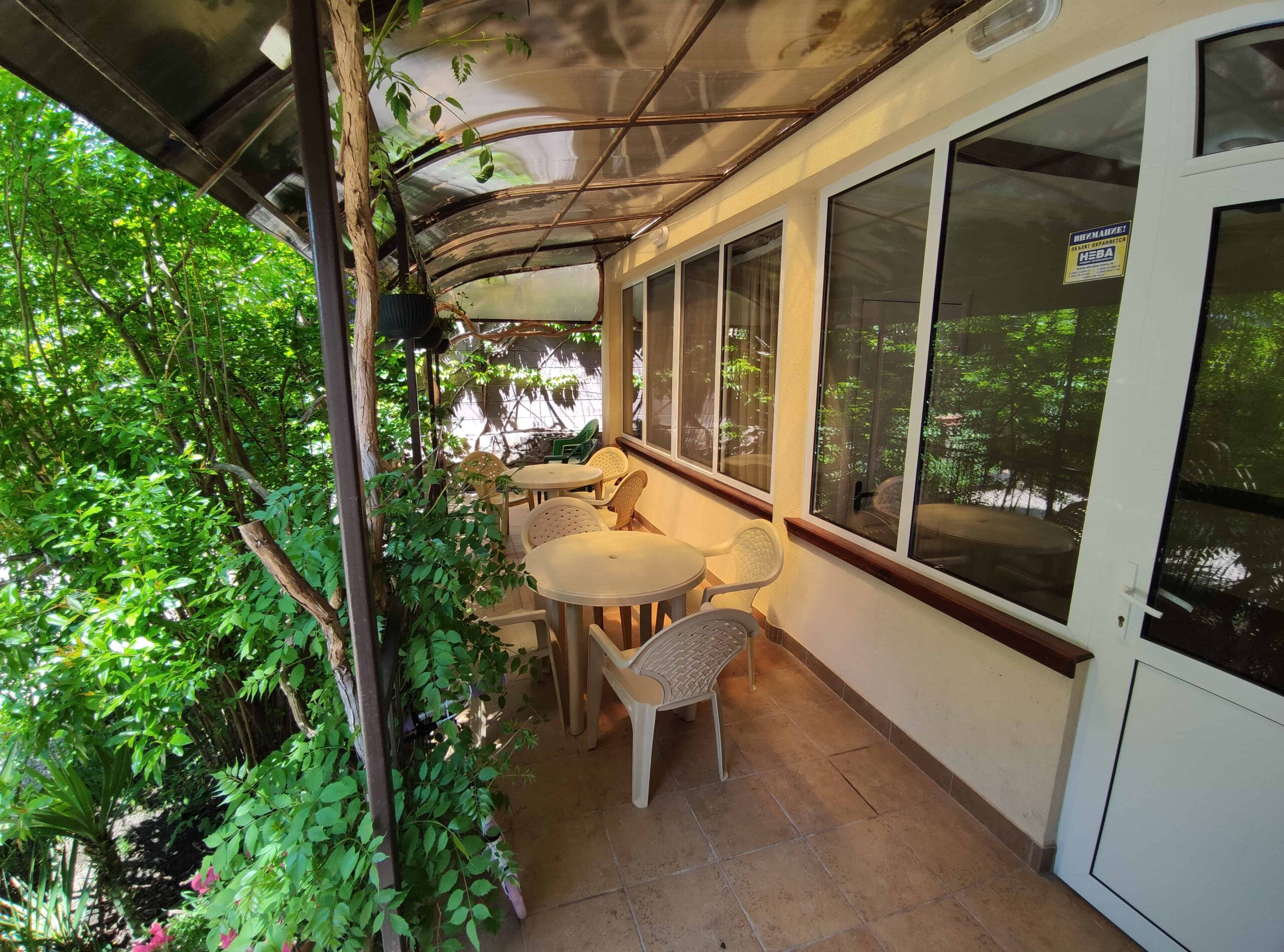 Фото Баттерфляй