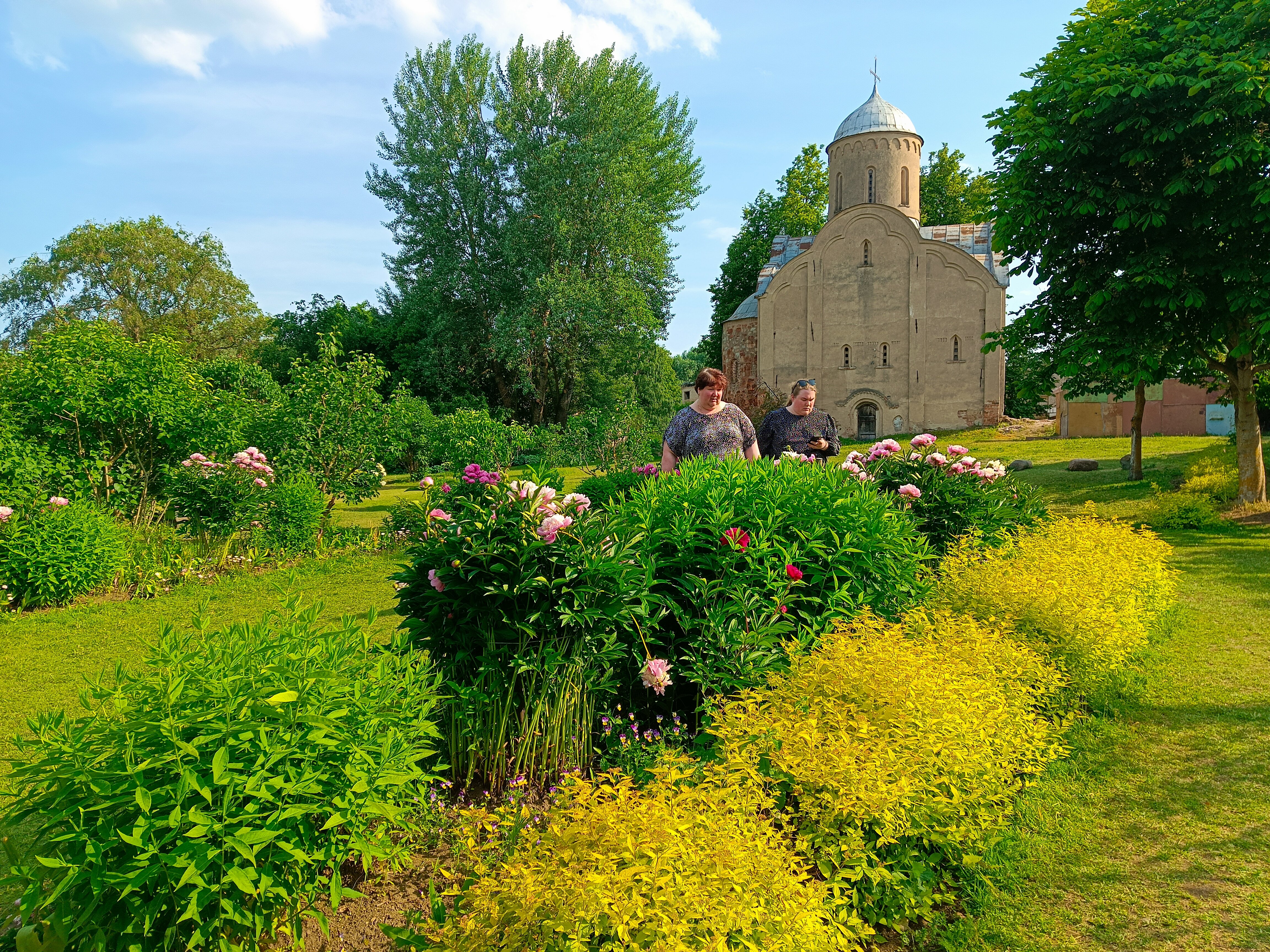 Сиреневый сад великий новгород фото