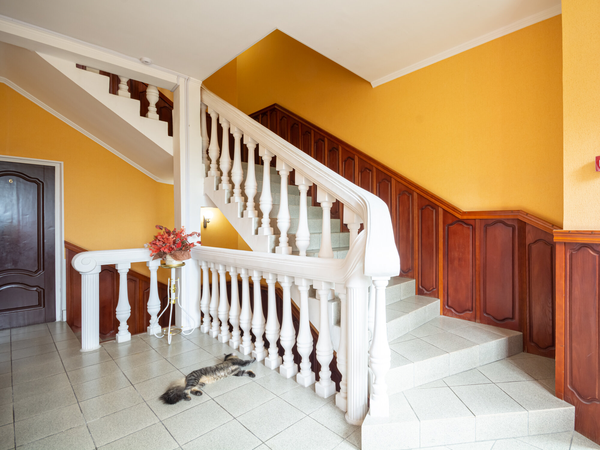 Фото Альбатрос