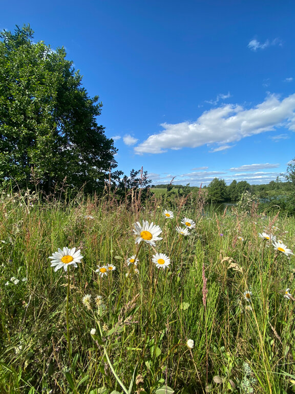 Фото Кырлай