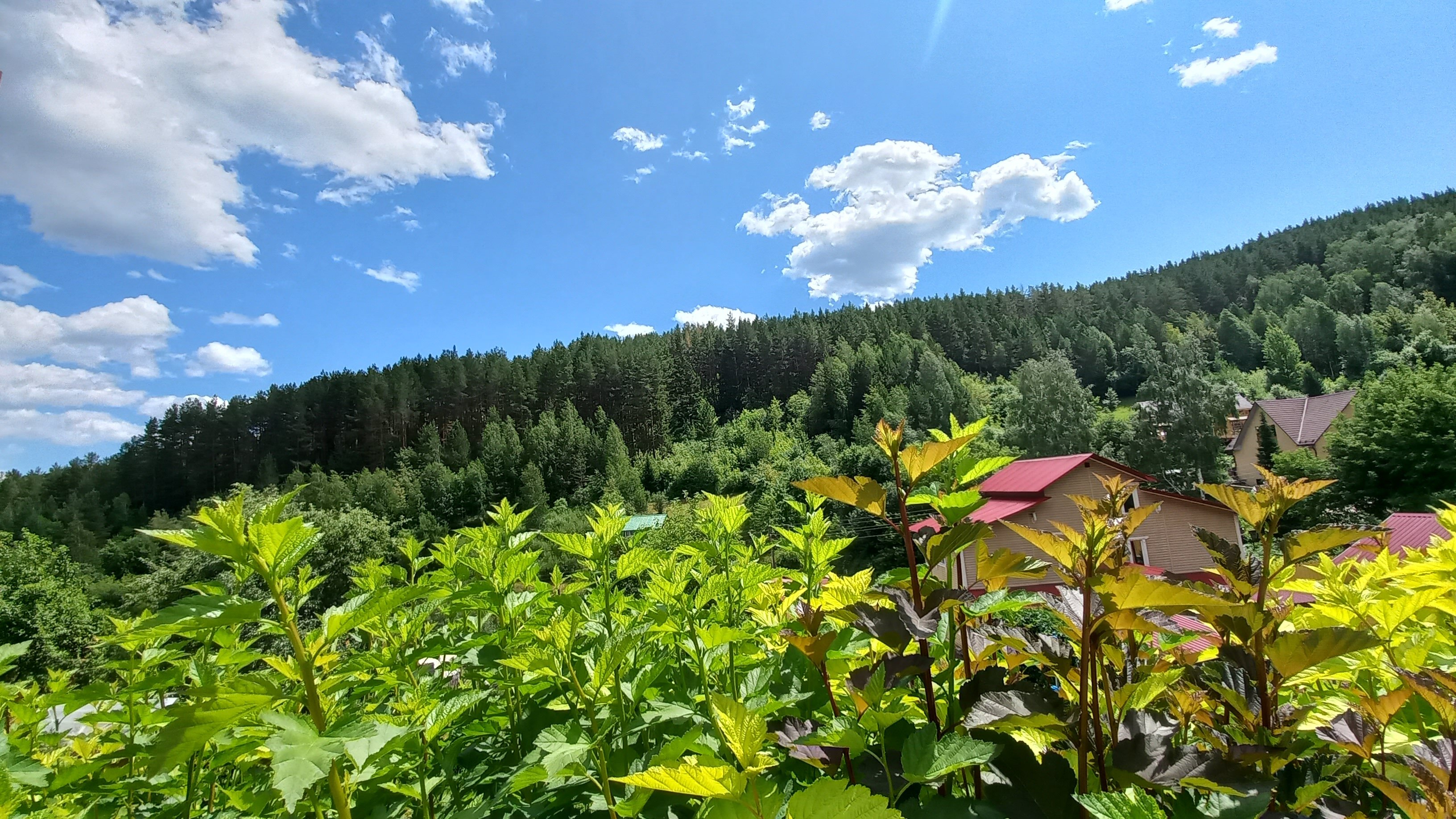Фото Усадьба Жар-Птица