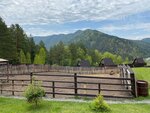 Сибирская легенда (Republic of Altai, Shebalinskiy rayon, Kamlakskoye selskoye poseleniye, urochishche Tyukala, 1), vivero de animales