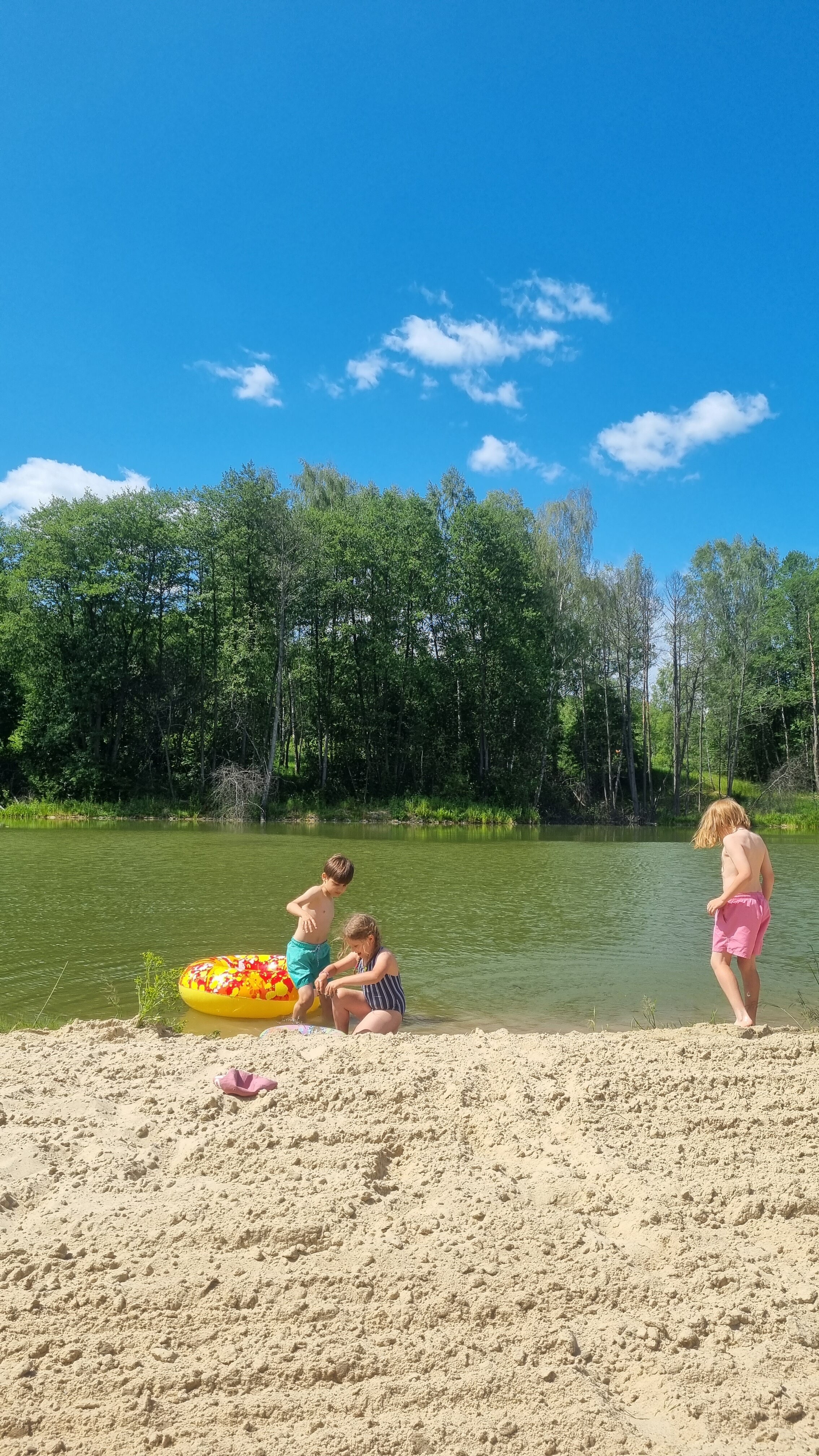 Фото Малина