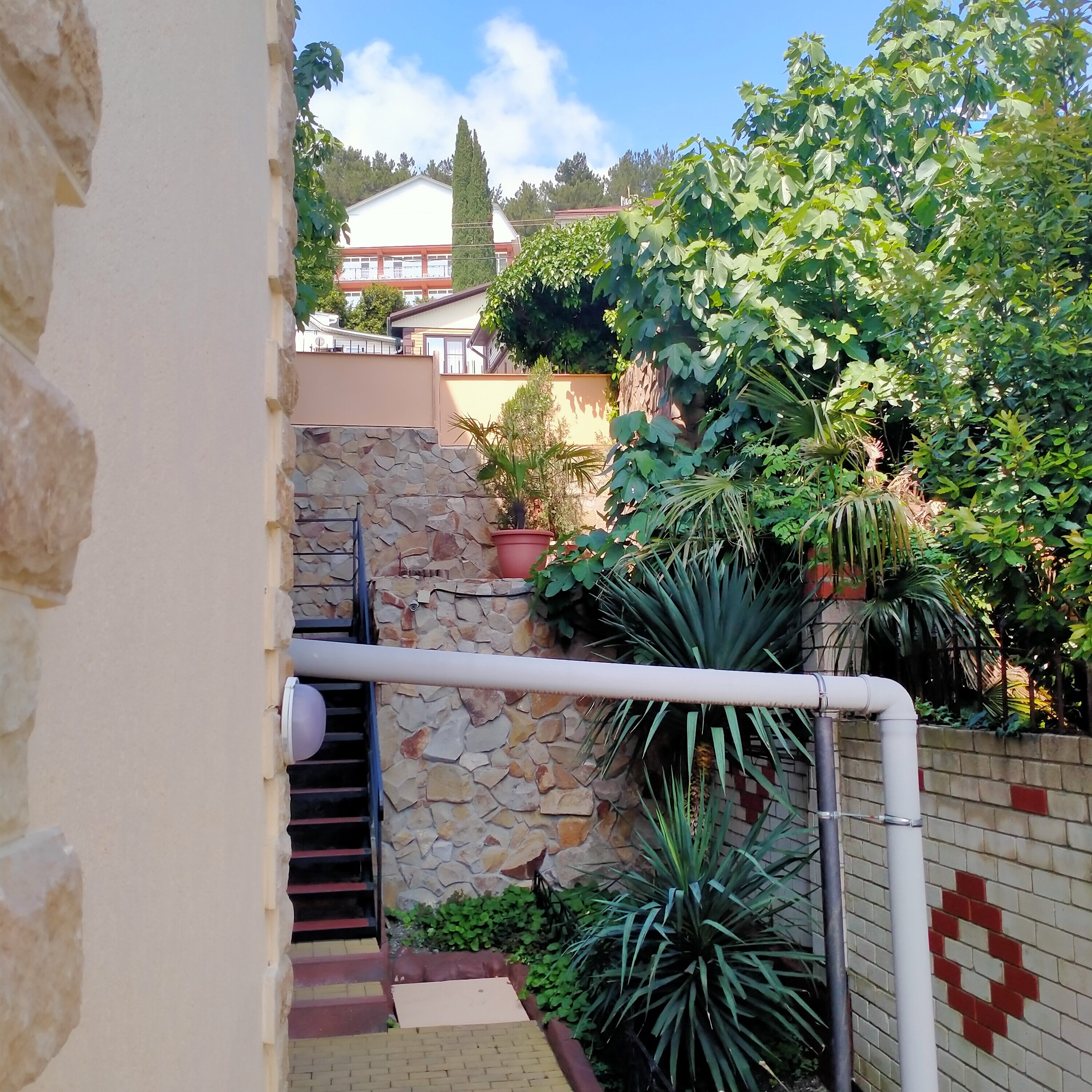 Фото Ставрополье