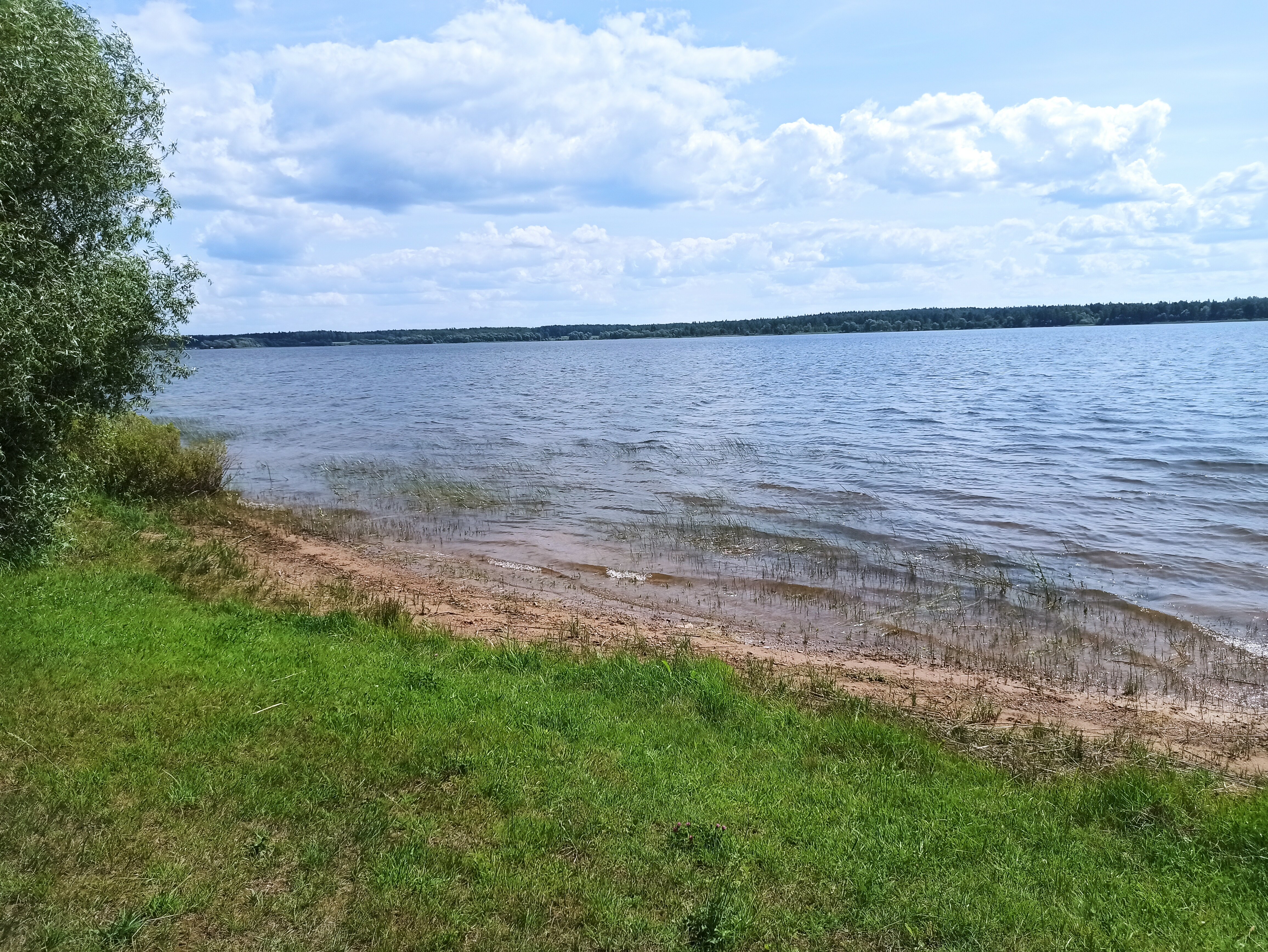 Фото Мандарин