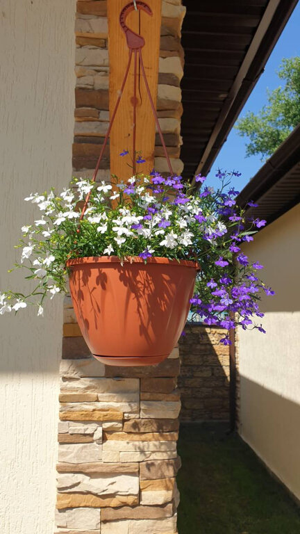 Фото МореРядом