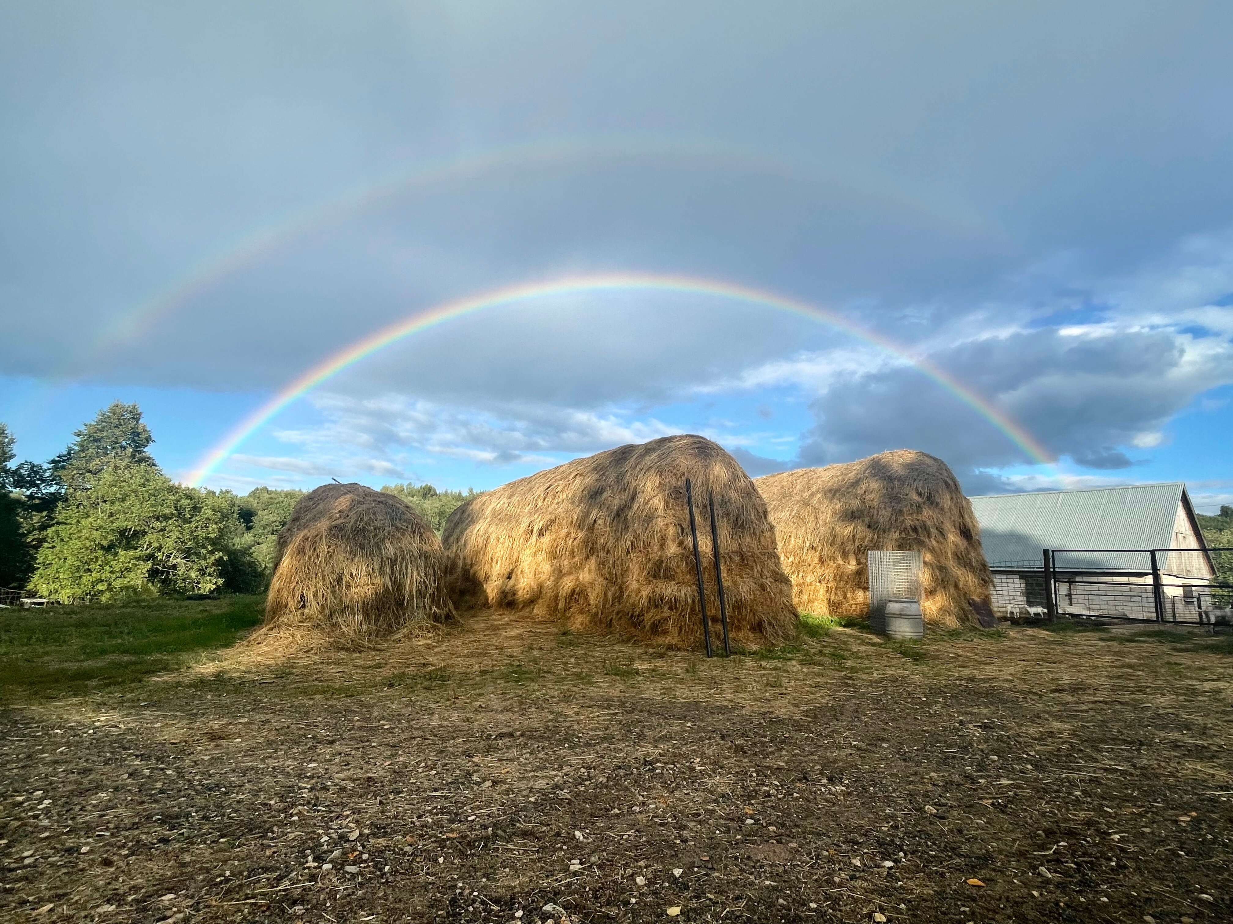 Фото Рулёвка
