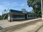 Магазин продуктов (Lokomotivnaya Street, 88А), grocery