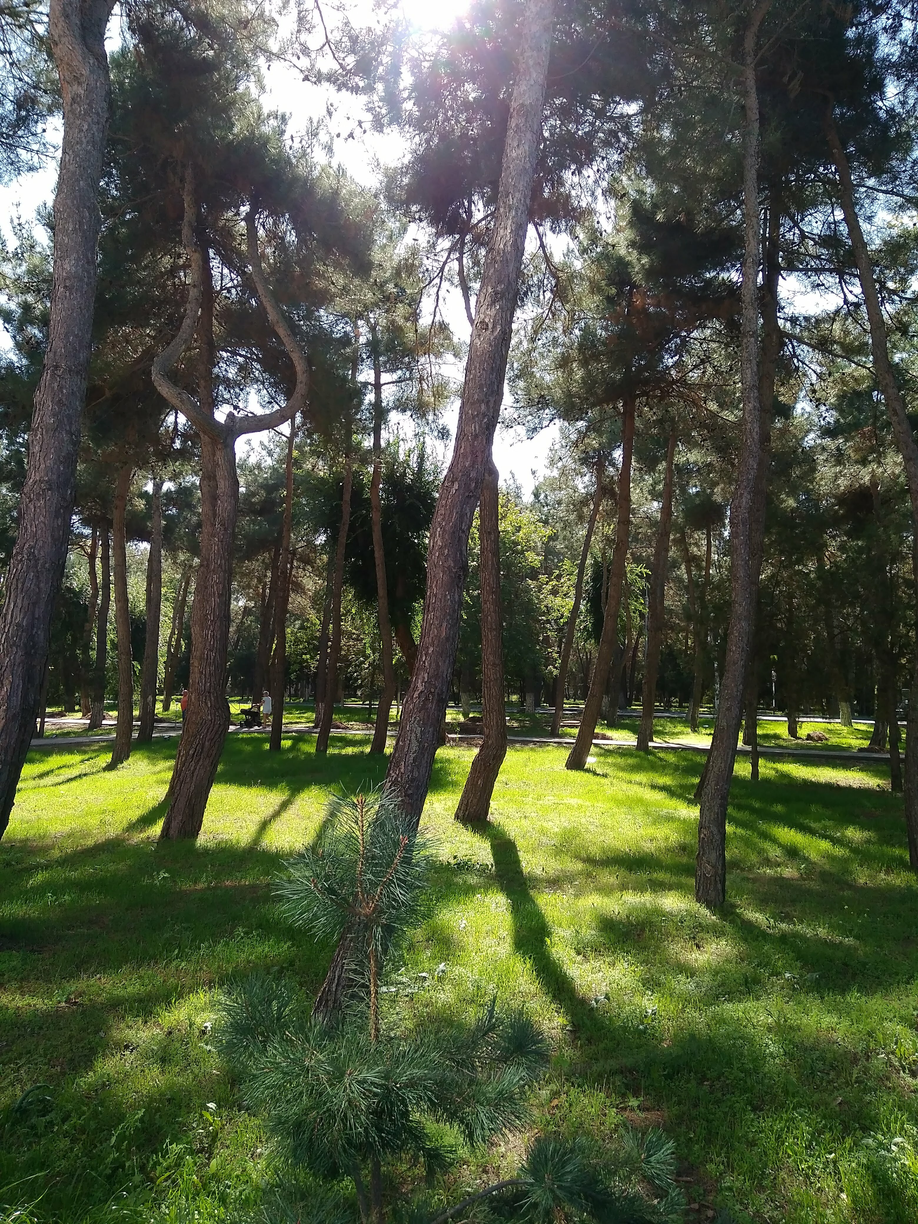 Фото Кавказ