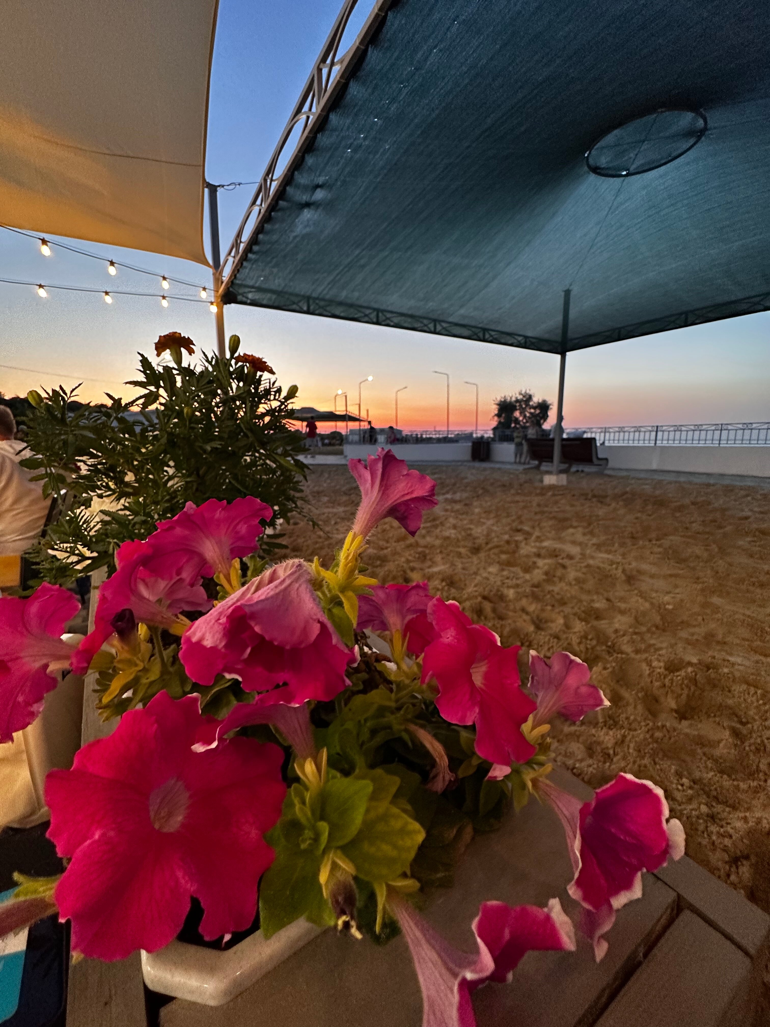 Фото Оливия