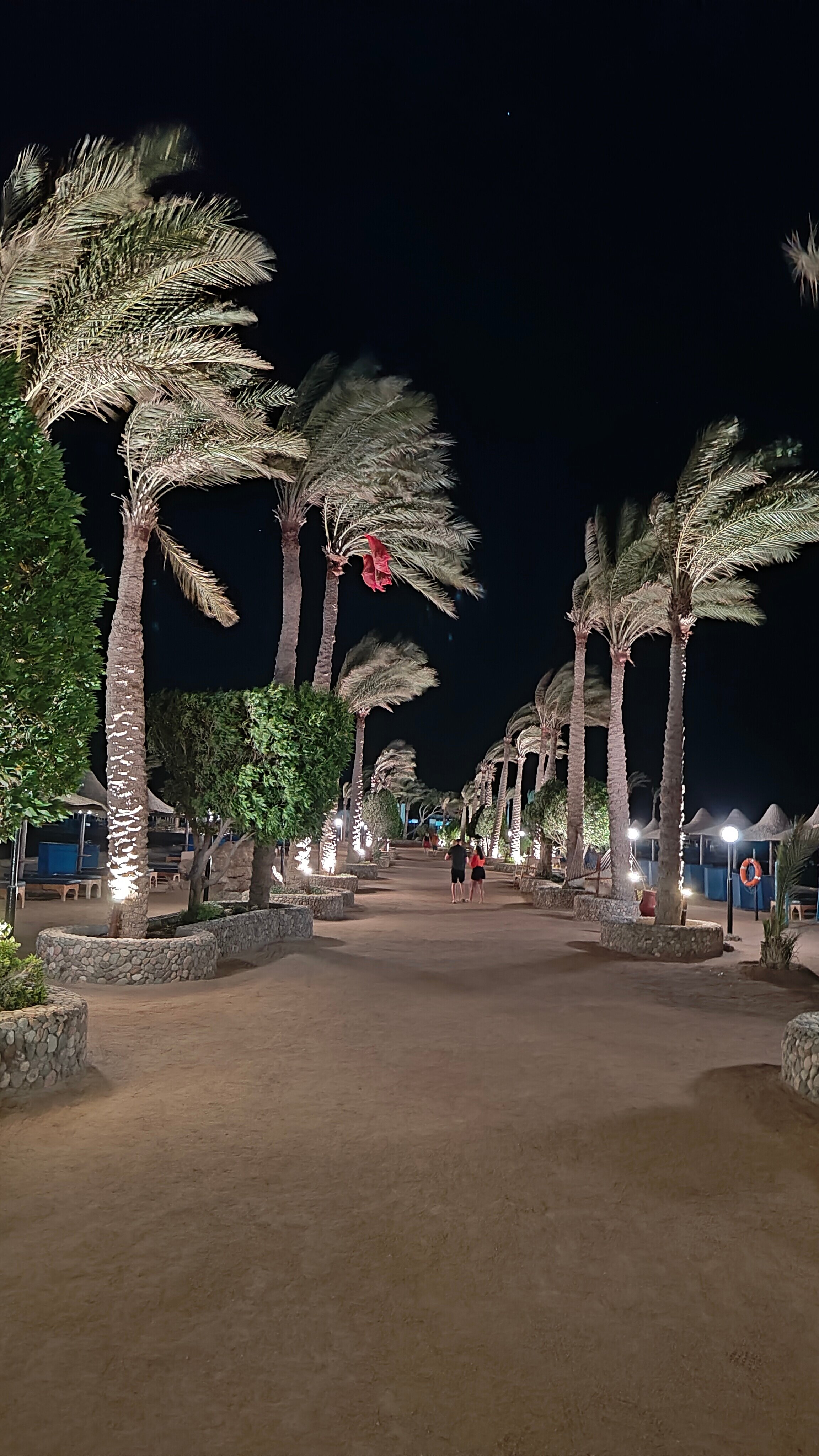 Фото Arabia Azur Resort