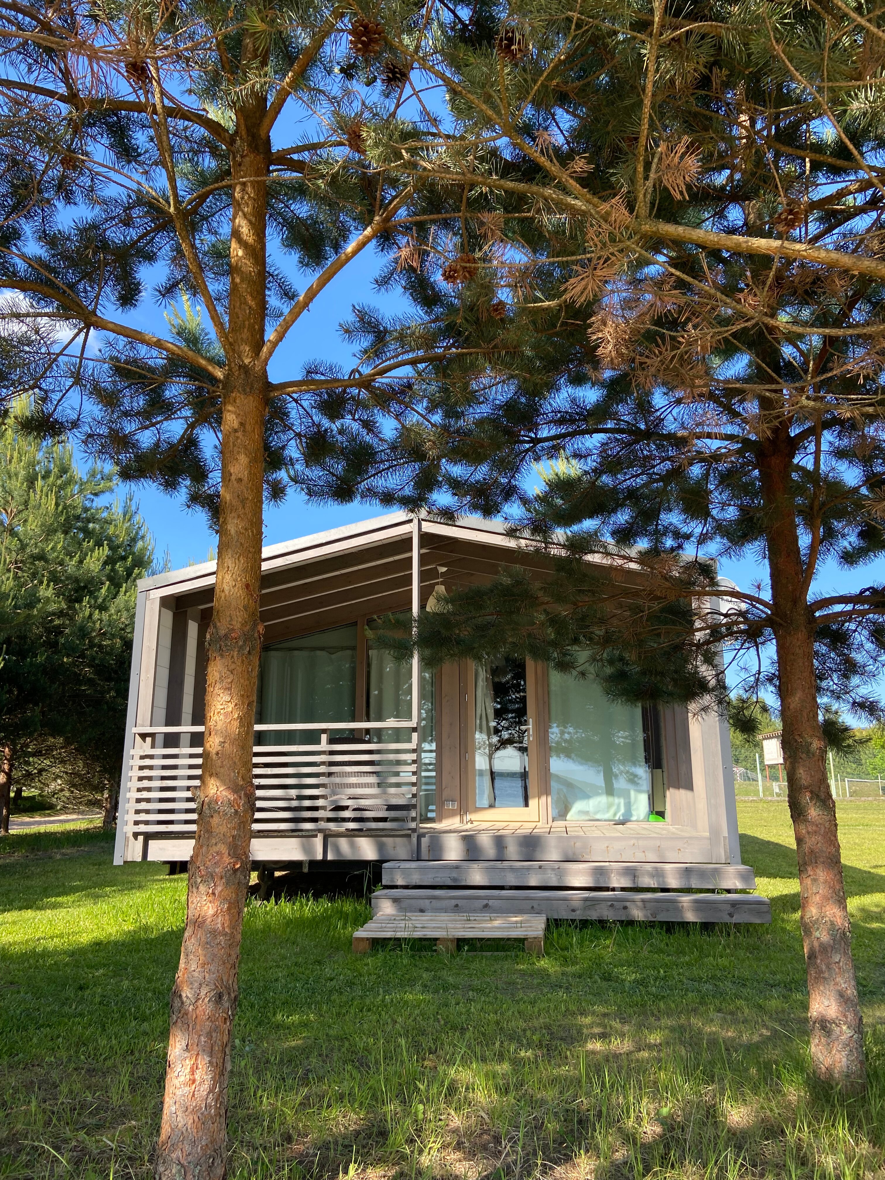 Фото Веточка