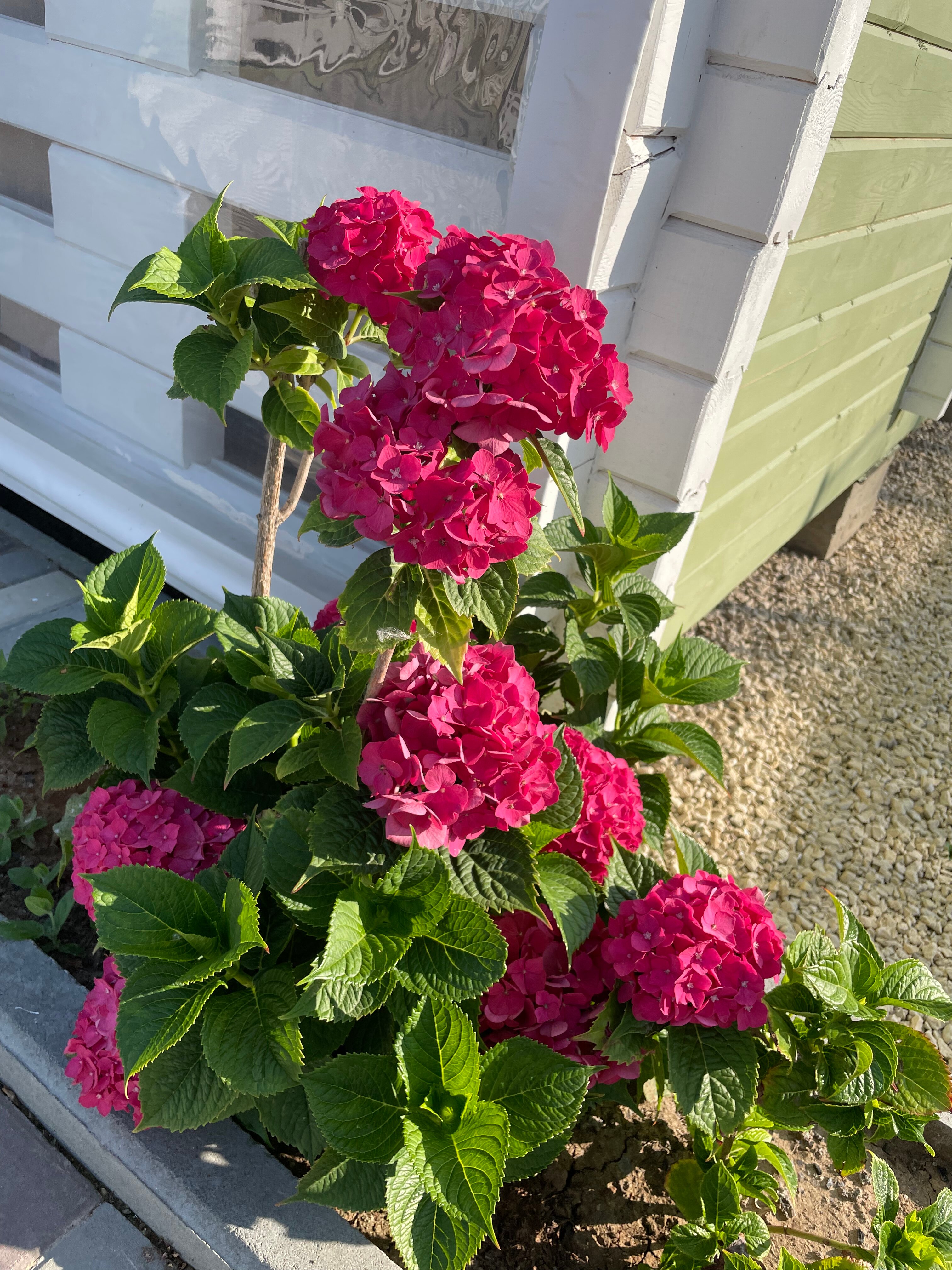 Фото Бунгало на Береговой