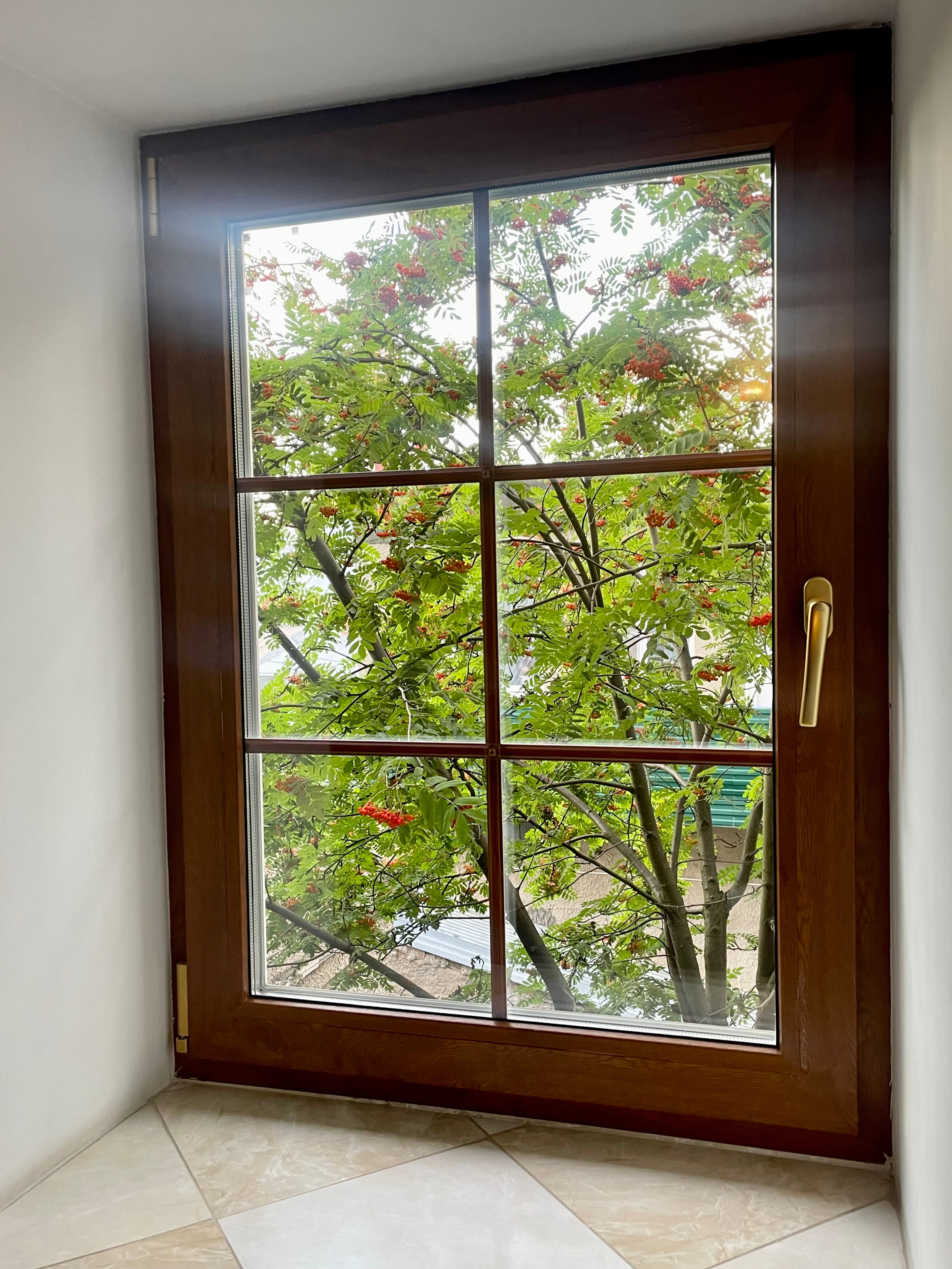 Фото Снегири