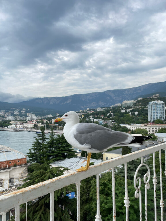 Фото Отель Бристоль