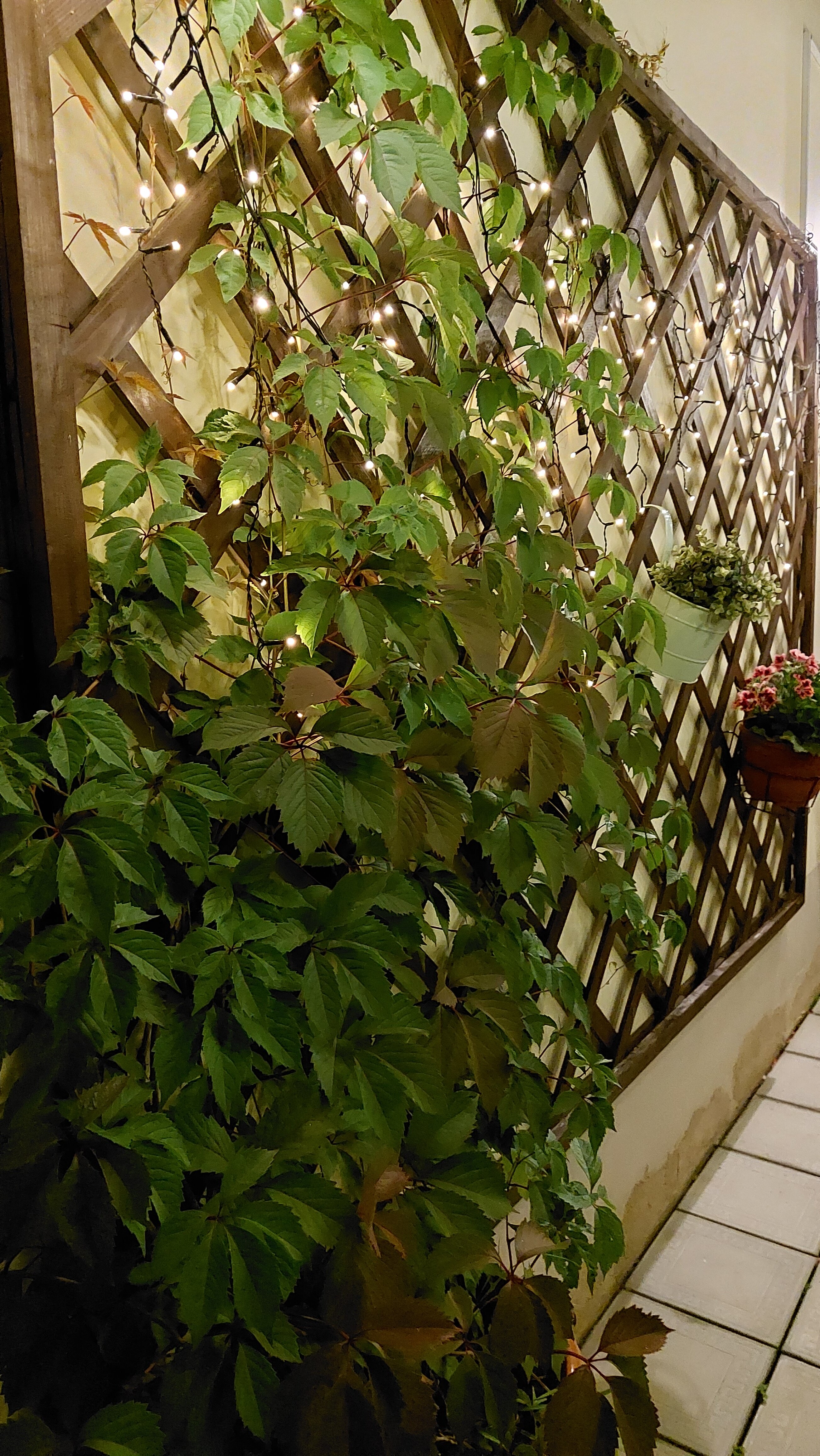 Фото Амосов