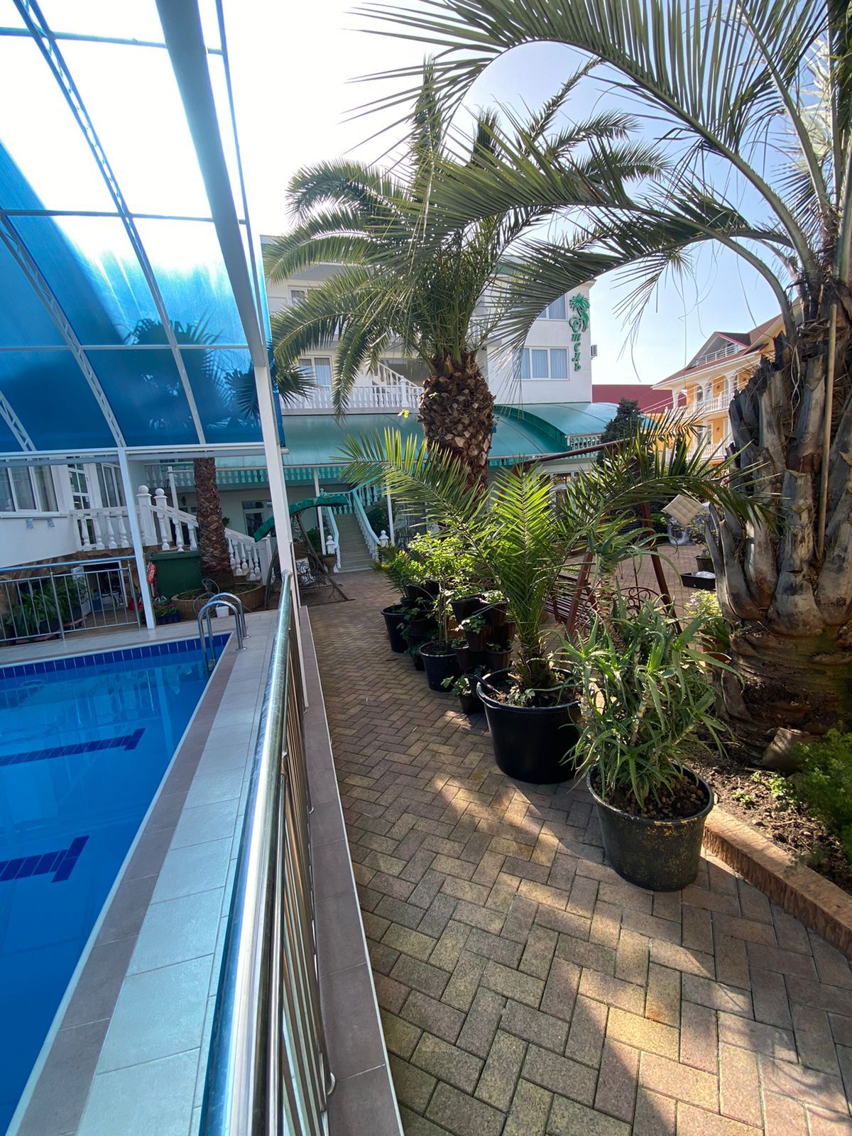 Фото Зелёный попугай