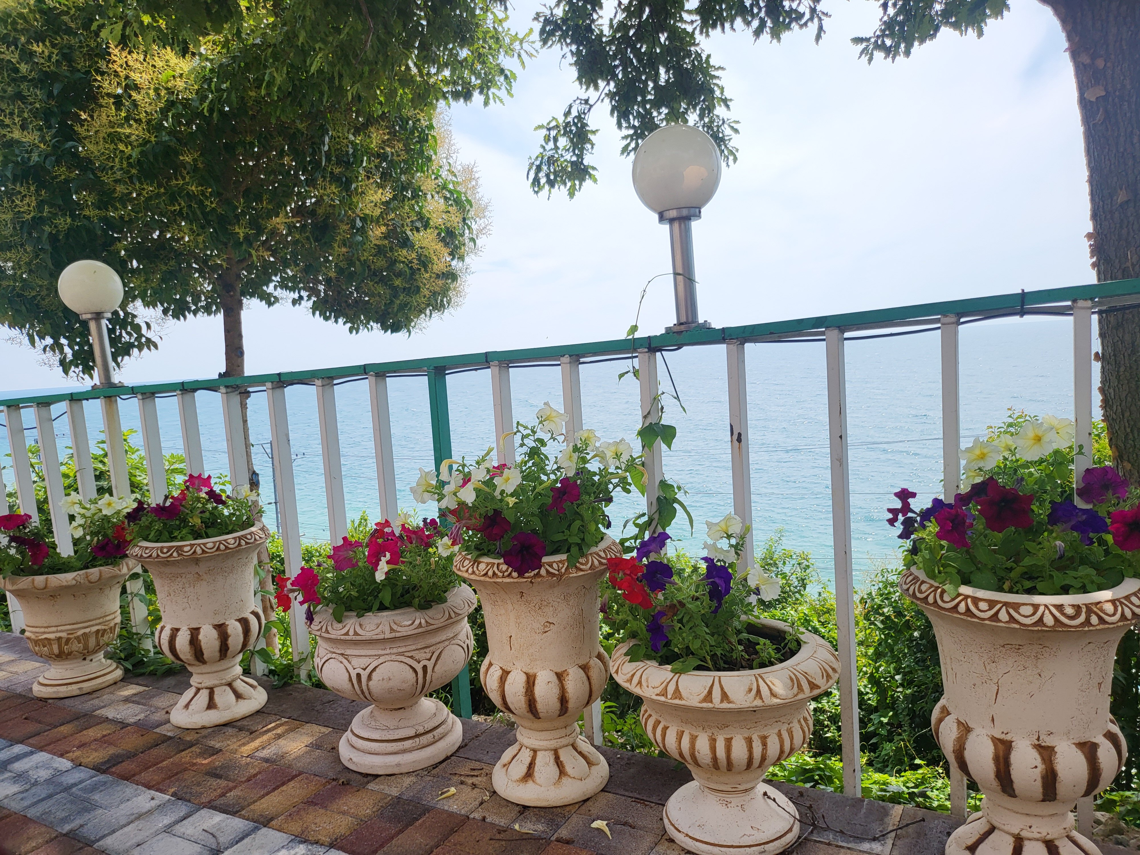 Фото Чемитка