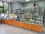 Апельсин (Teplichnaya ulitsa, 101), pharmacy