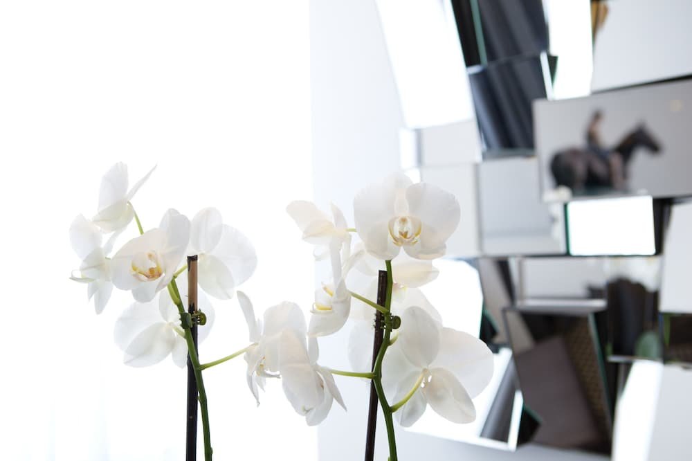 Фото Александр