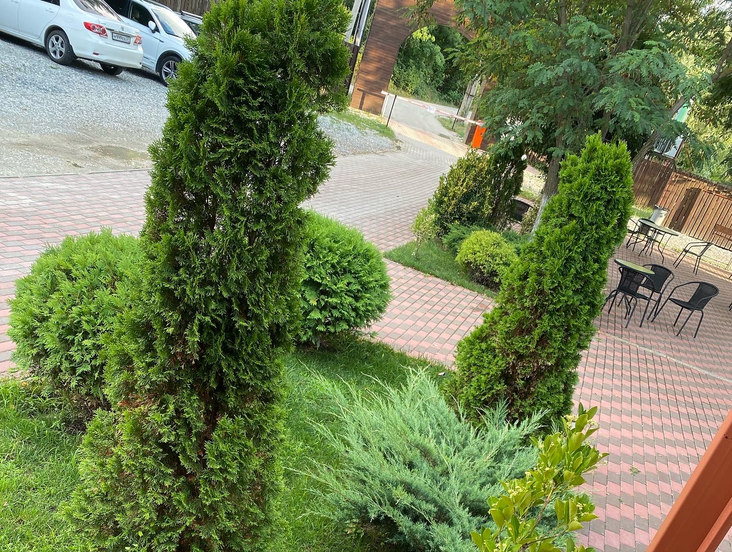 Фото Поляна