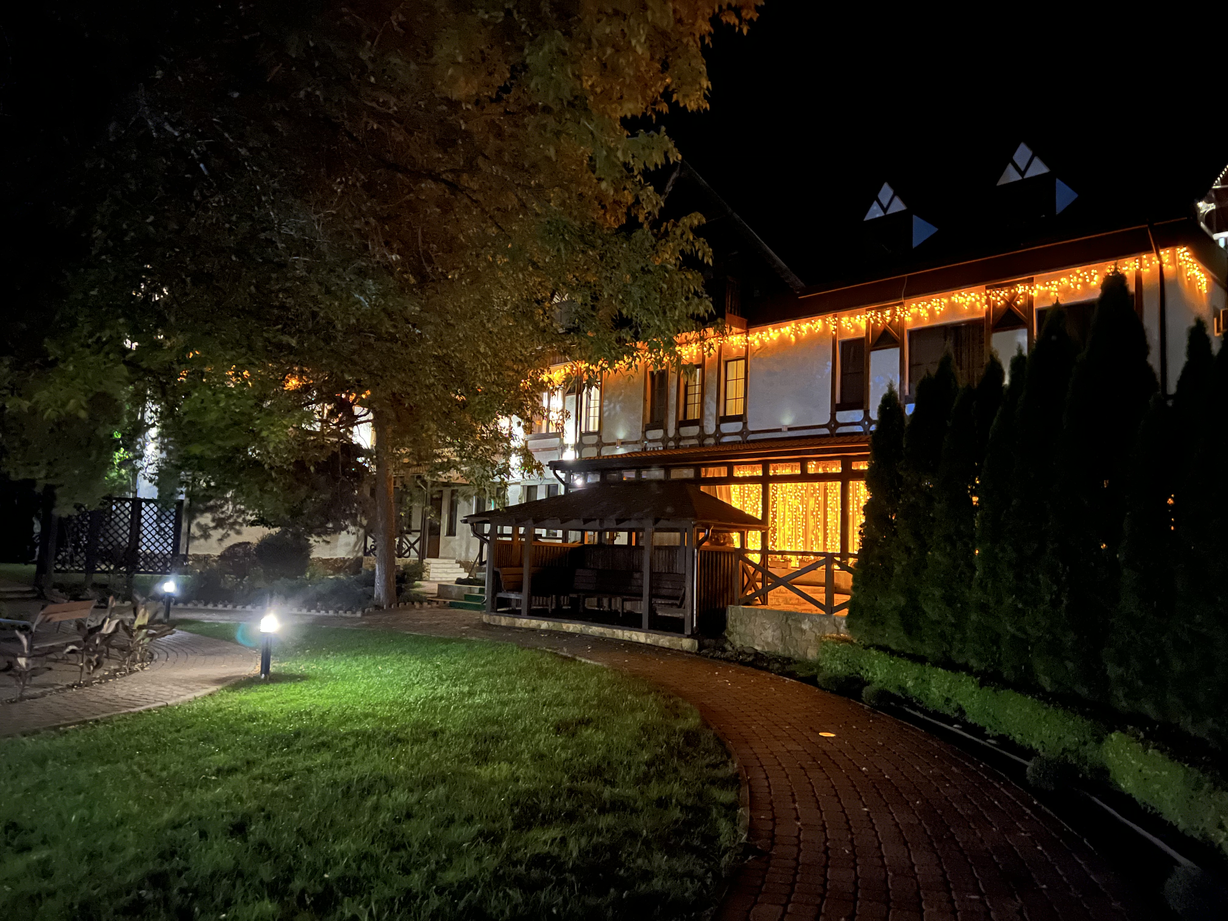 Фото Березки